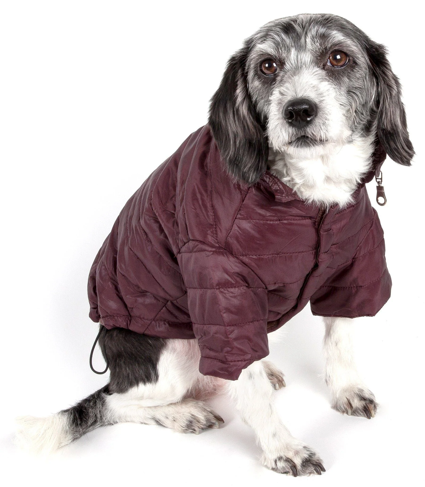 Pet Life ® Lightweight Adjustable and Collapsible 'Sporty Avalanche' Dog Coat w/ Pop-out Zippered Hood - Image 14