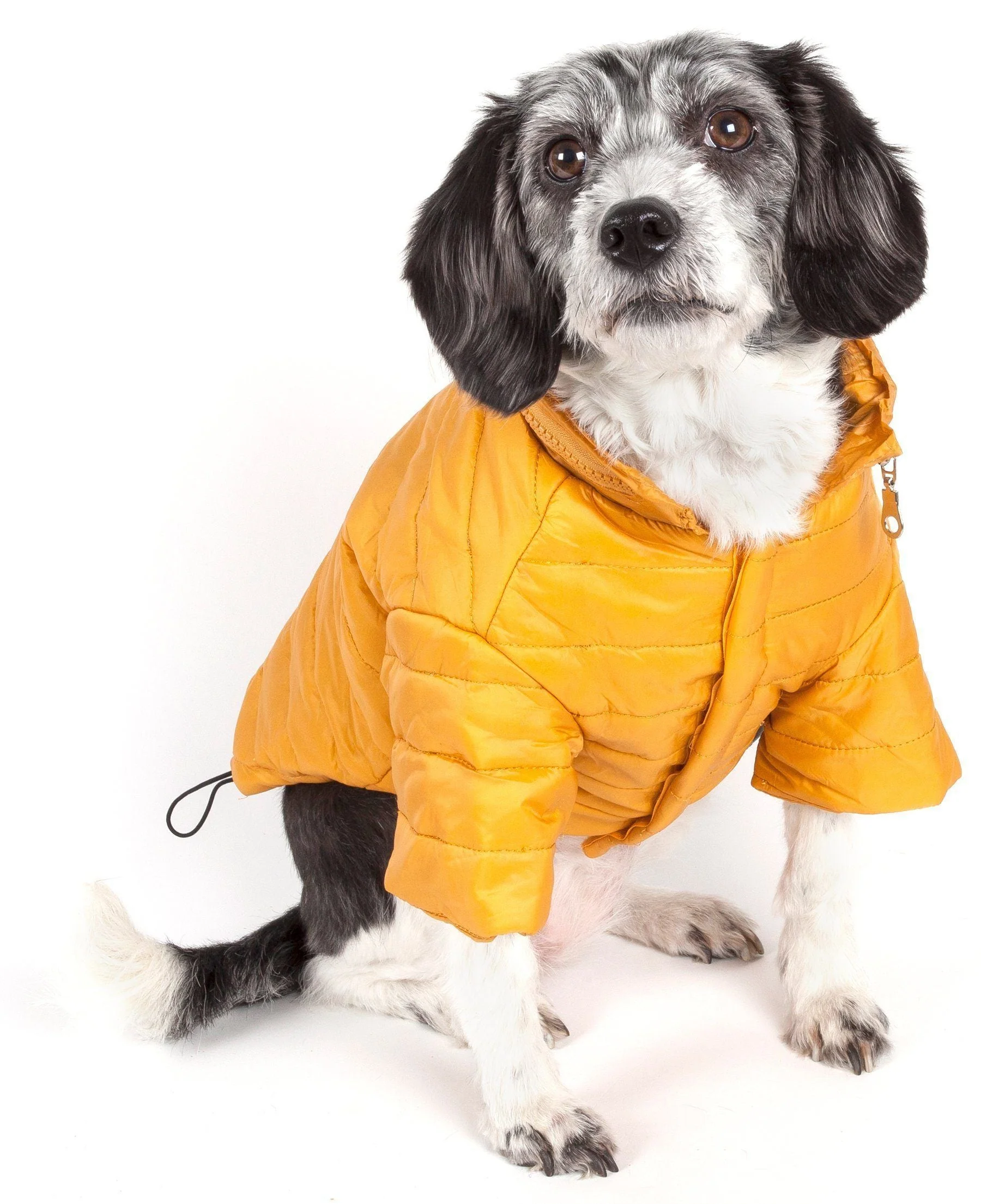 Pet Life ® Lightweight Adjustable and Collapsible 'Sporty Avalanche' Dog Coat w/ Pop-out Zippered Hood - Image 15