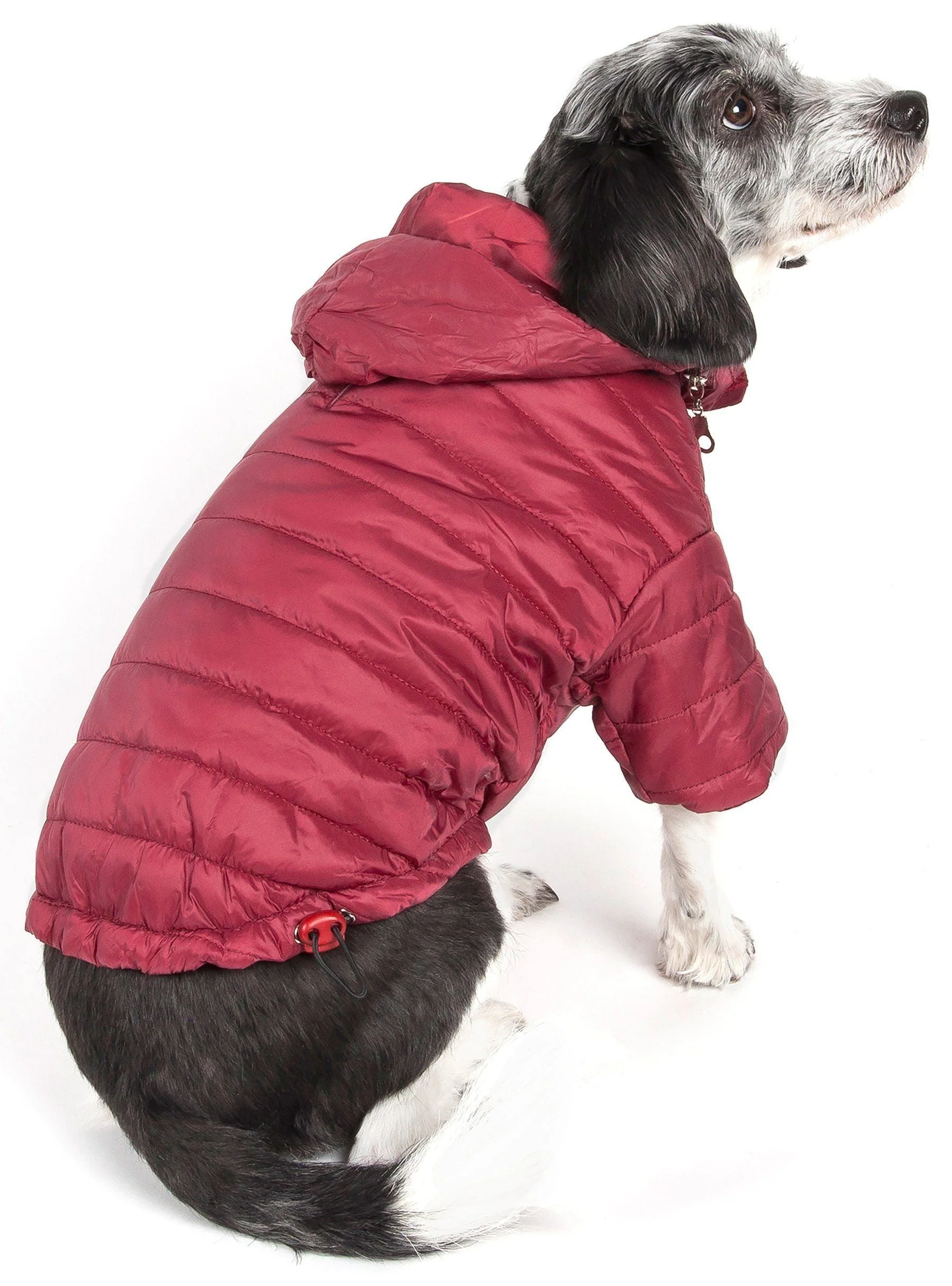 Pet Life ® Lightweight Adjustable and Collapsible 'Sporty Avalanche' Dog Coat w/ Pop-out Zippered Hood - Image 22