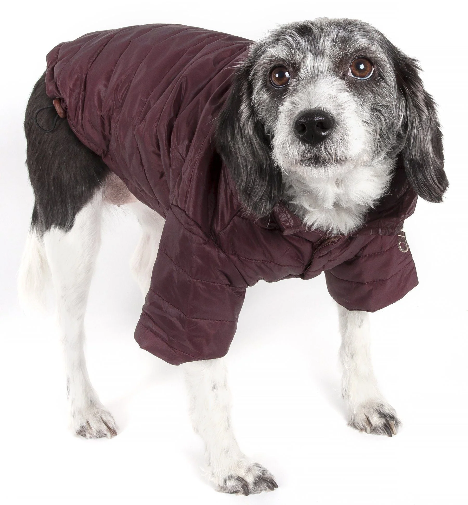 Pet Life ® Lightweight Adjustable and Collapsible 'Sporty Avalanche' Dog Coat w/ Pop-out Zippered Hood - Image 3