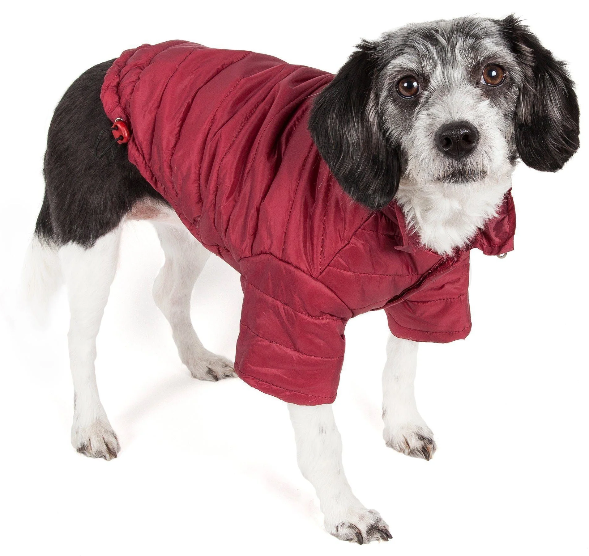 Pet Life ® Lightweight Adjustable and Collapsible 'Sporty Avalanche' Dog Coat w/ Pop-out Zippered Hood - Image 4
