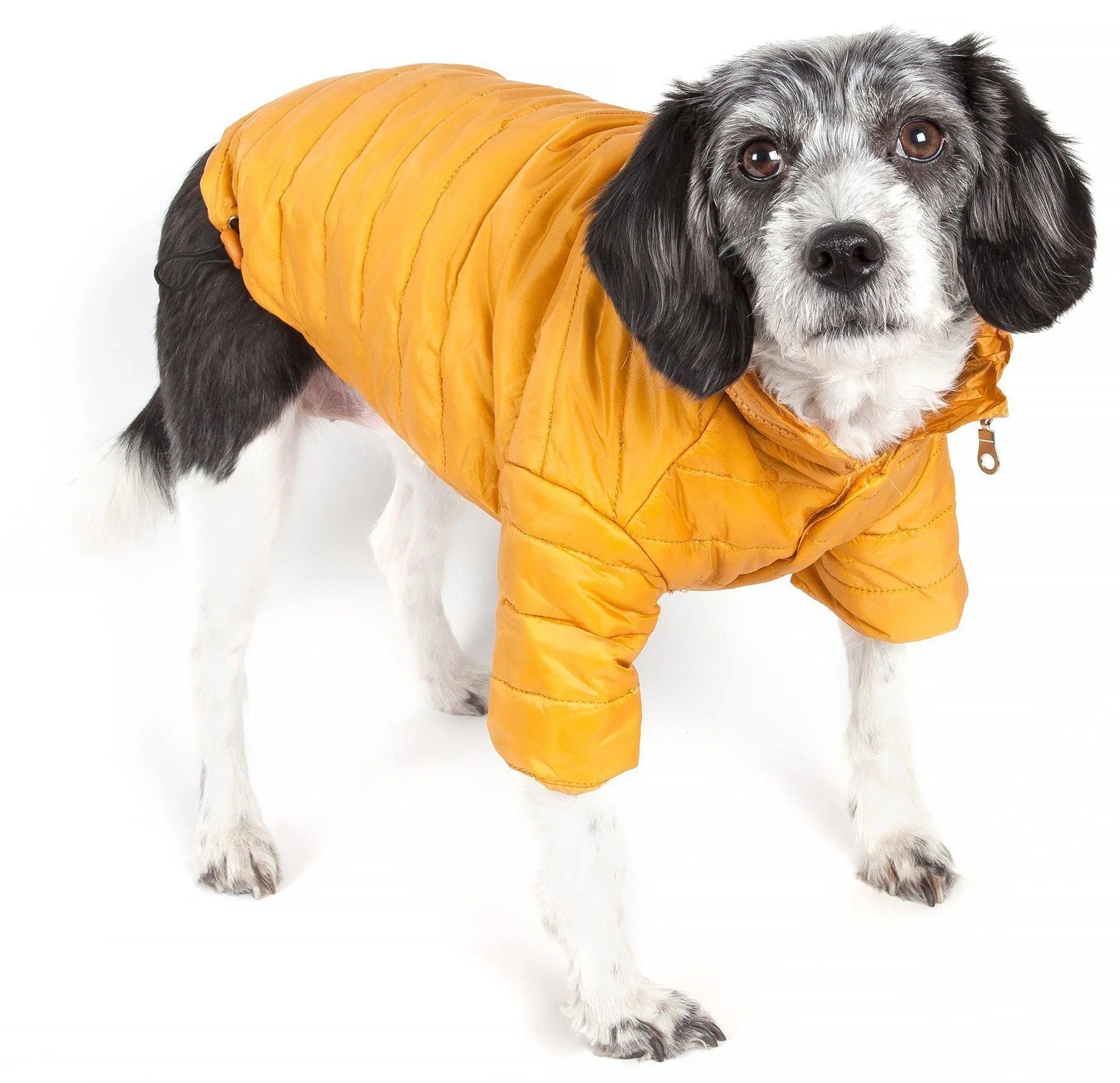 Pet Life ® Lightweight Adjustable and Collapsible 'Sporty Avalanche' Dog Coat w/ Pop-out Zippered Hood - Image 5