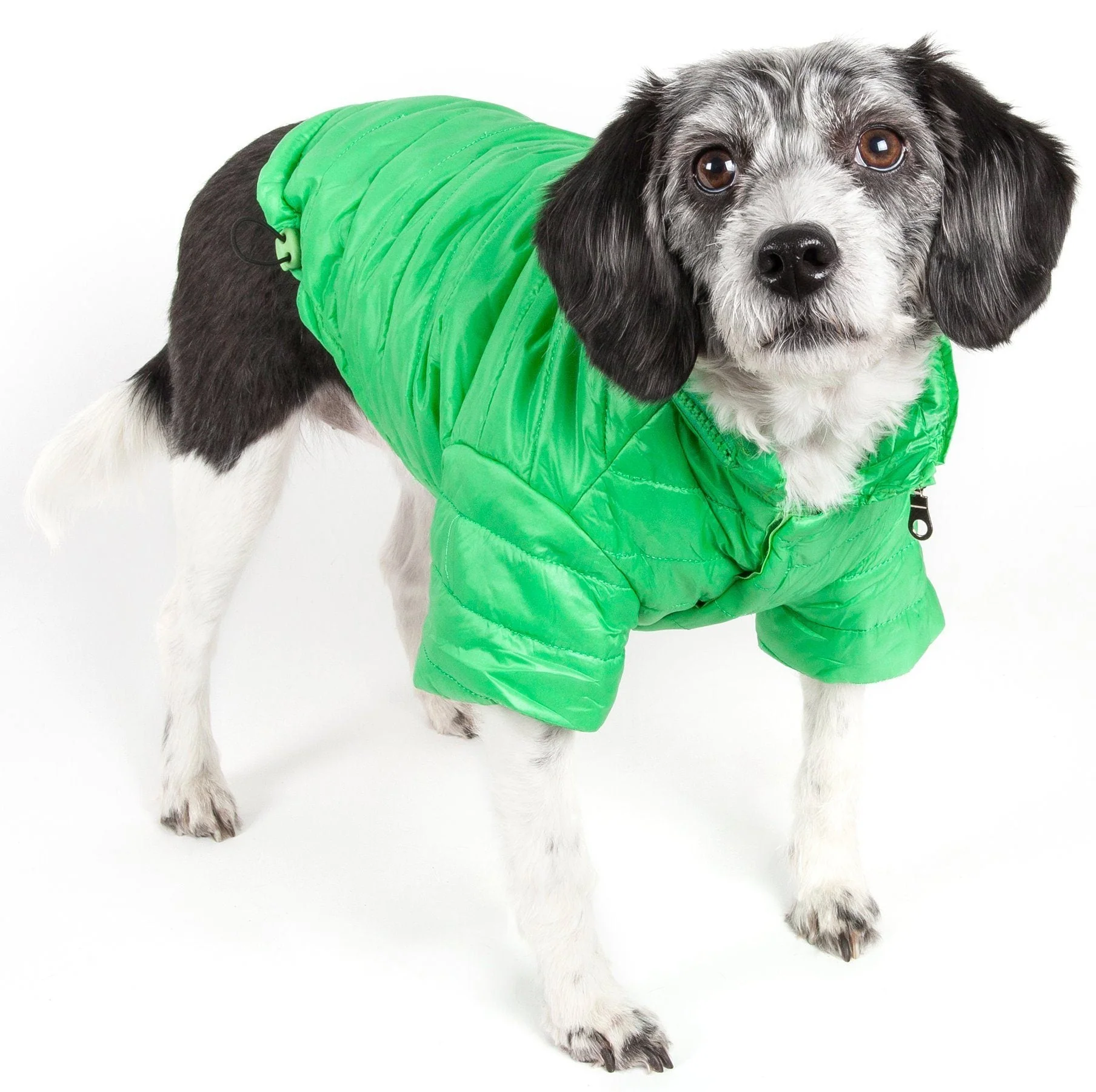 Pet Life ® Lightweight Adjustable and Collapsible 'Sporty Avalanche' Dog Coat w/ Pop-out Zippered Hood - Image 6