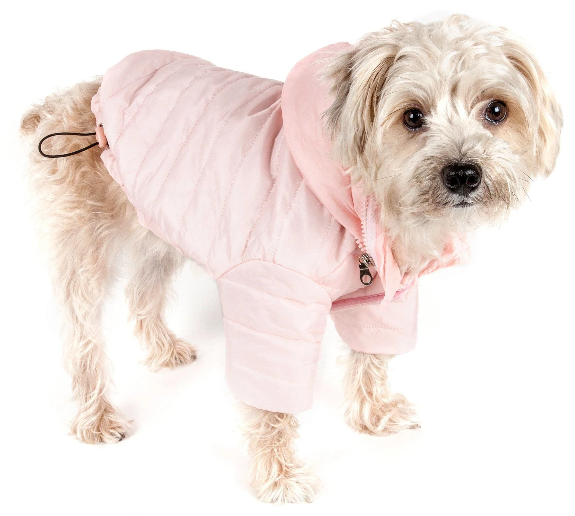 Pet Life ® Lightweight Adjustable and Collapsible 'Sporty Avalanche' Dog Coat w/ Pop-out Zippered Hood - Image 7