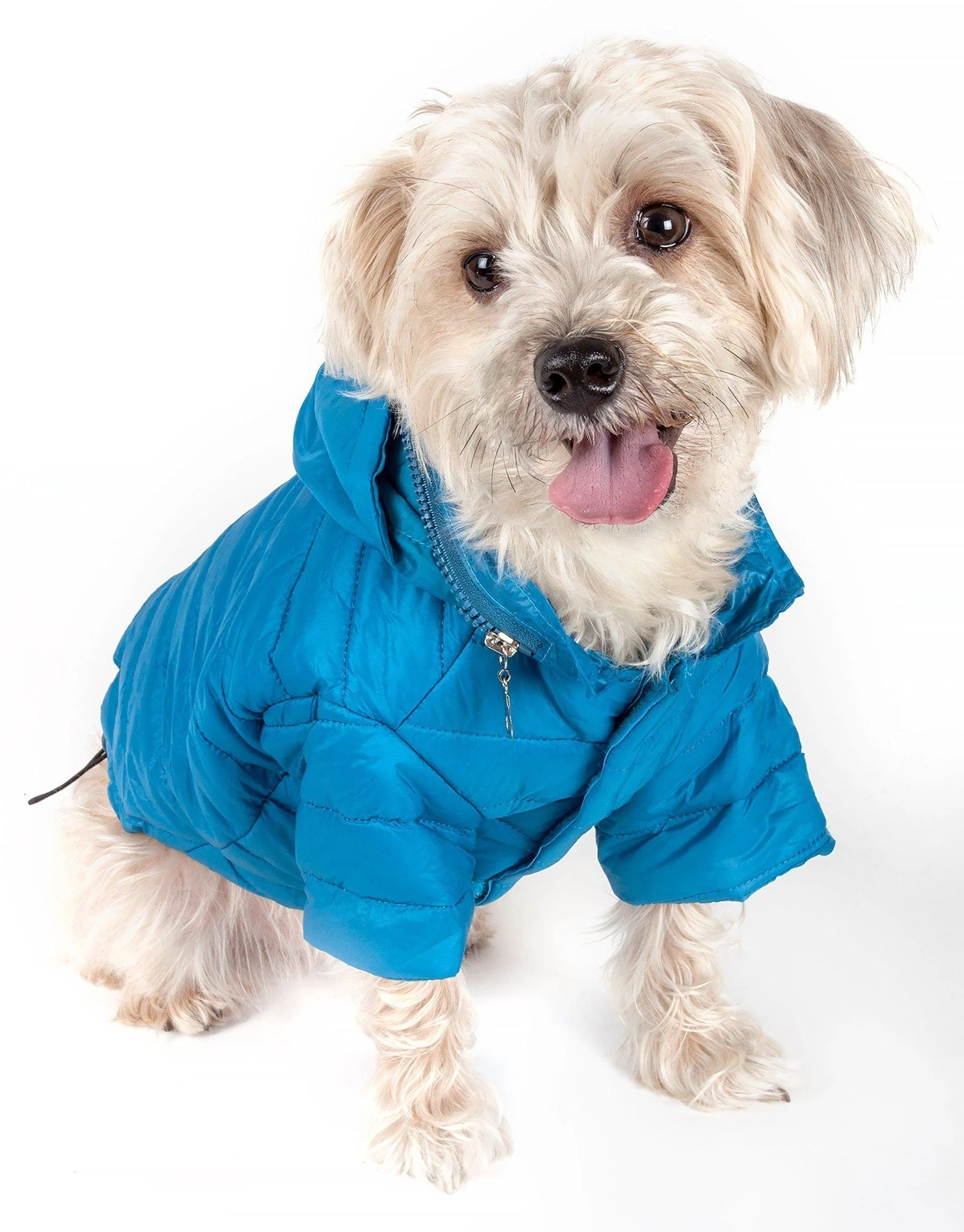 Pet Life ® Lightweight Adjustable and Collapsible 'Sporty Avalanche' Dog Coat w/ Pop-out Zippered Hood - Image 8
