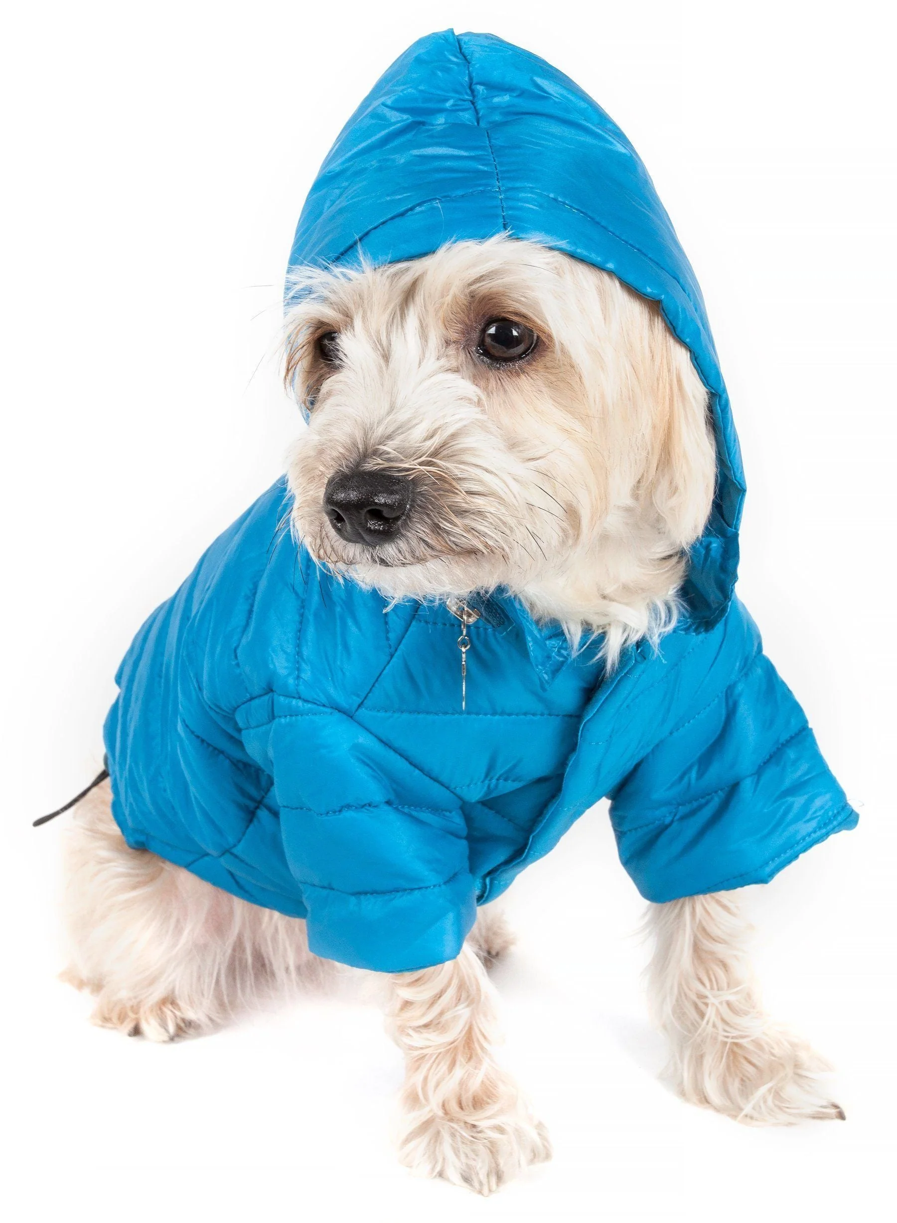 Pet Life ® Lightweight Adjustable and Collapsible 'Sporty Avalanche' Dog Coat w/ Pop-out Zippered Hood - Image 9