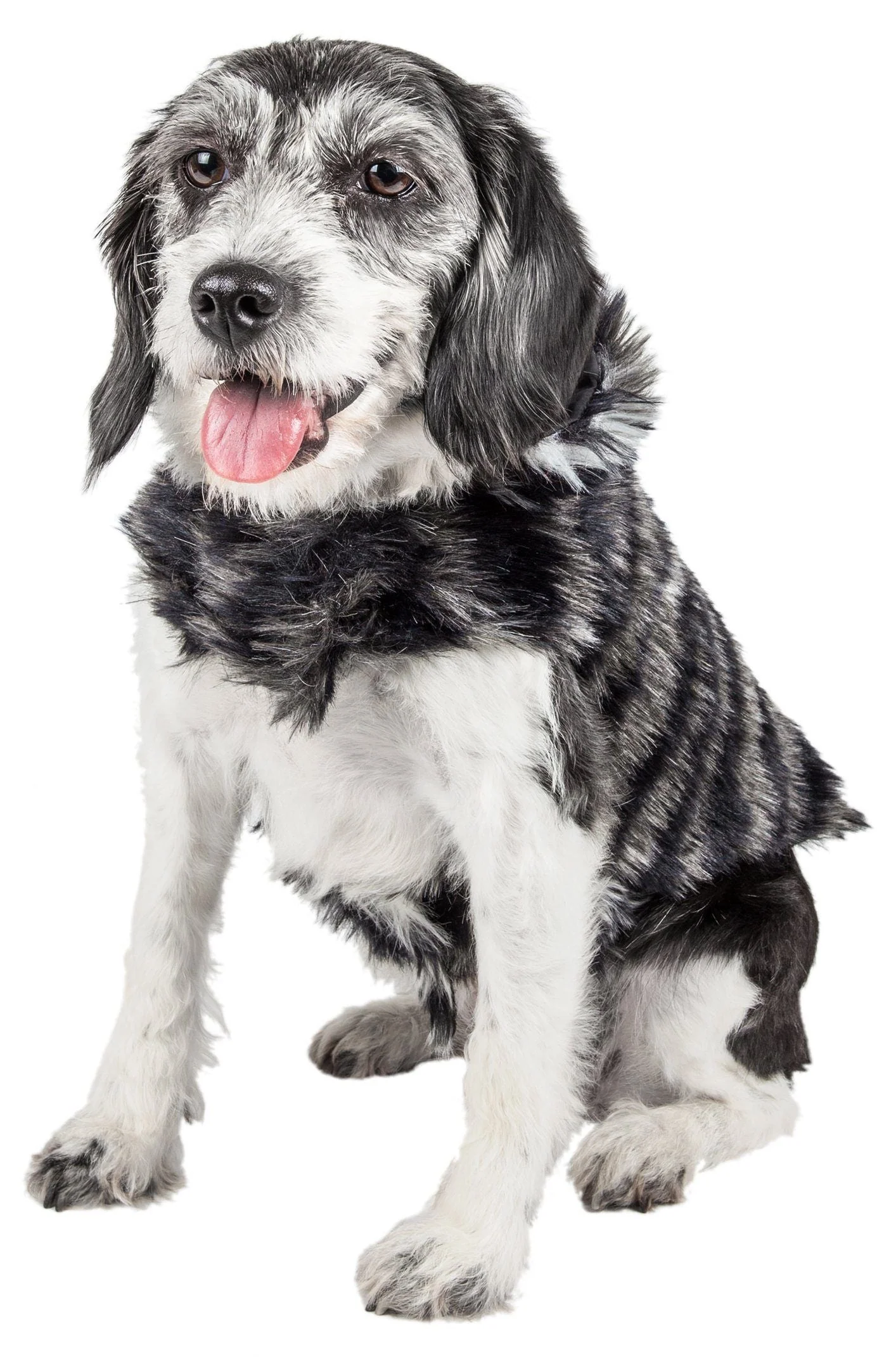 Pet Life ®  Luxe 'Chauffurry' Zebra Patterned Designer Mink Fur Dog Coat - Image 4