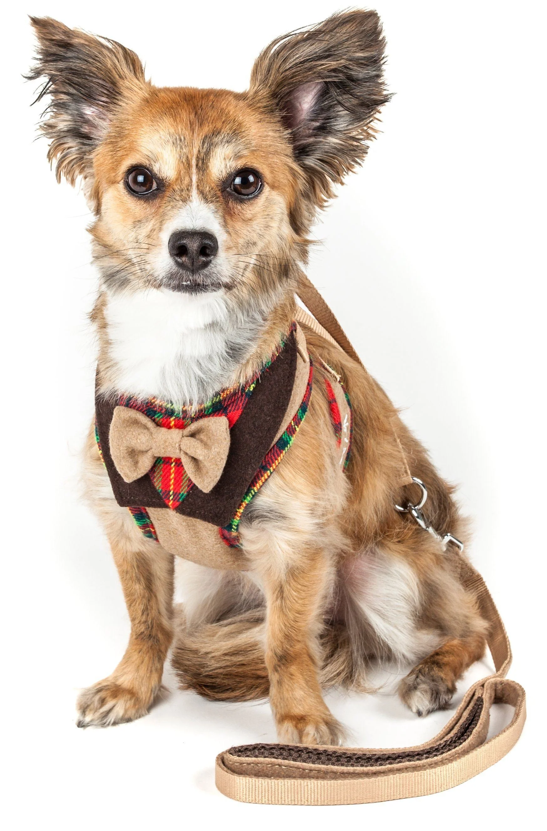 Pet Life ® Luxe 'Dapperbone' 2-In-1 Adjustable Fashion Dog Harness and Leash