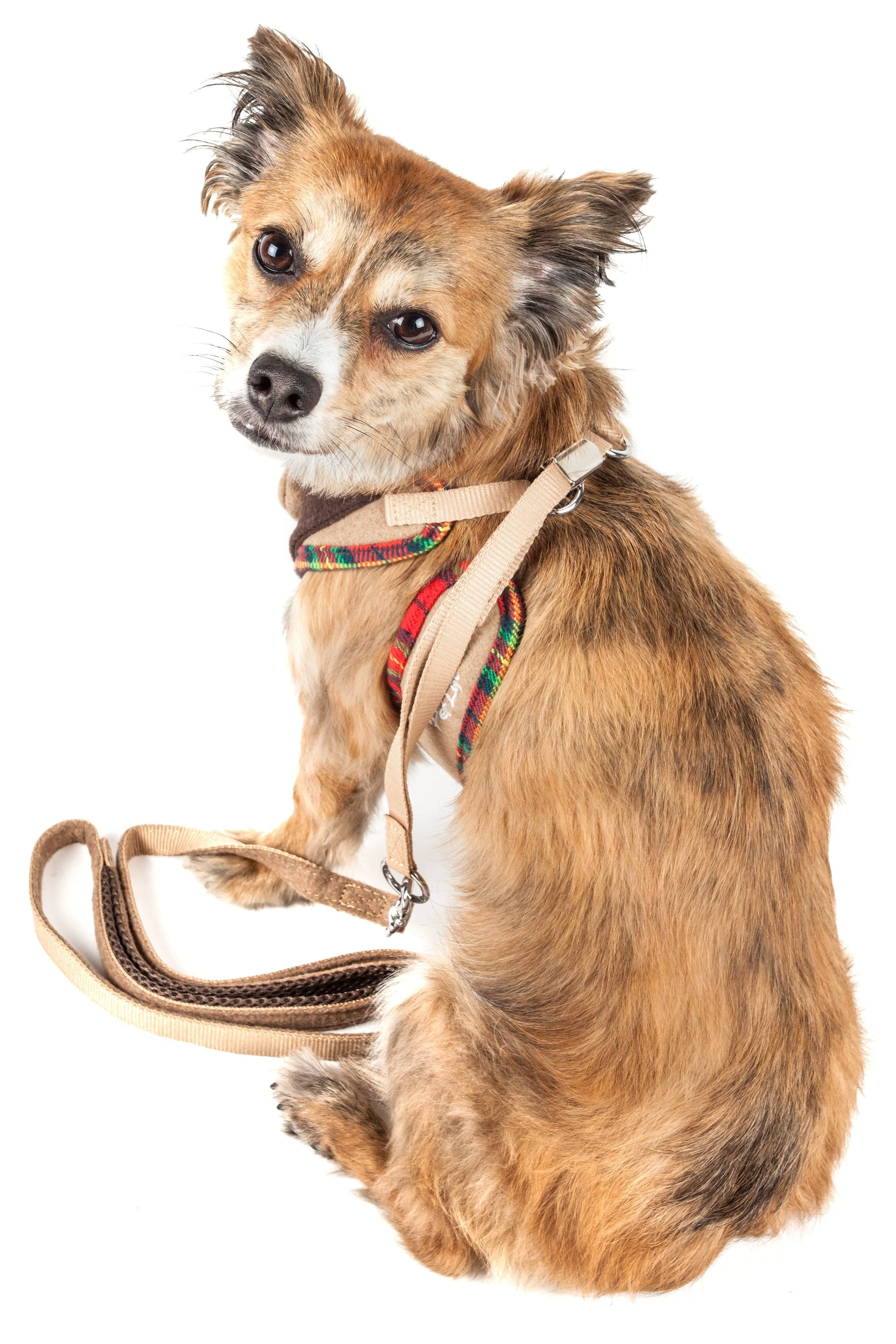 Pet Life ® Luxe 'Dapperbone' 2-In-1 Adjustable Fashion Dog Harness and Leash - Image 2