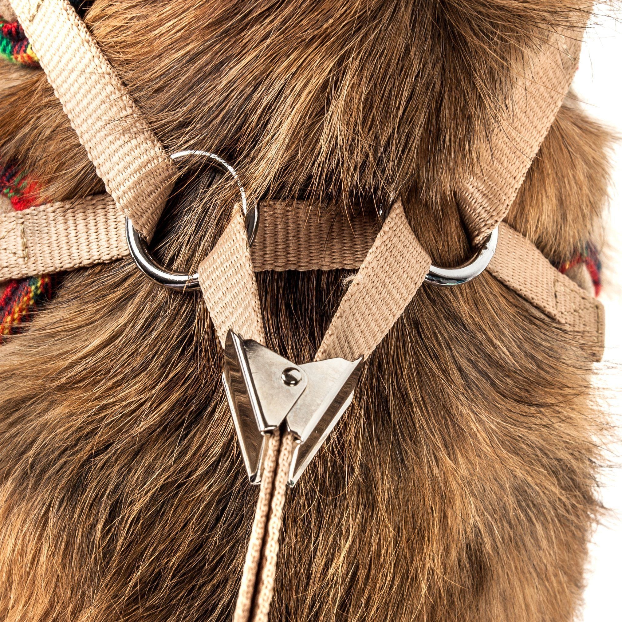 Pet Life ® Luxe 'Dapperbone' 2-In-1 Adjustable Fashion Dog Harness and Leash - Image 4