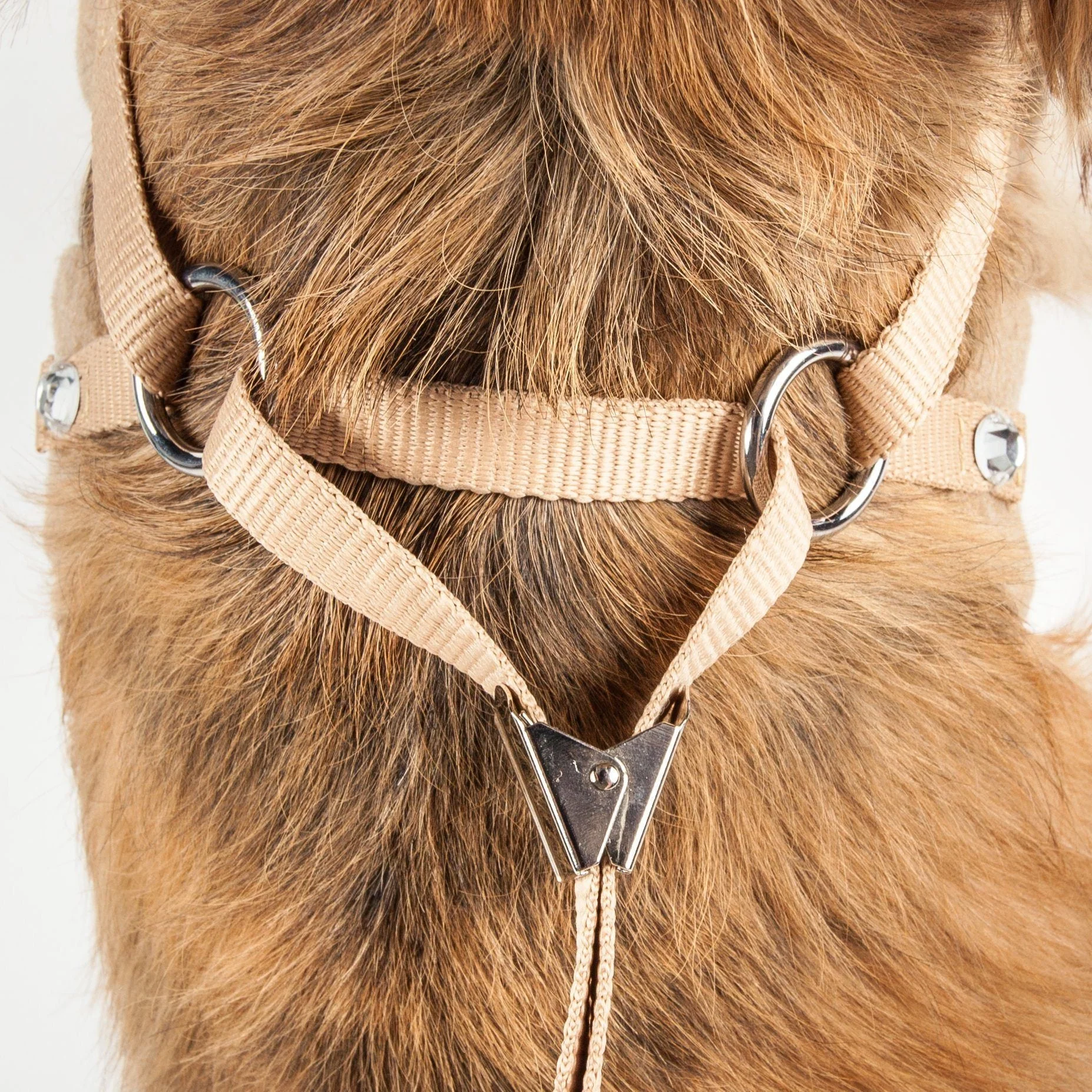 Pet Life ® Luxe 'Furracious' 2-In-1 Adjustable Dog Harness and Leash with Detachable Fur Collar - Image 17