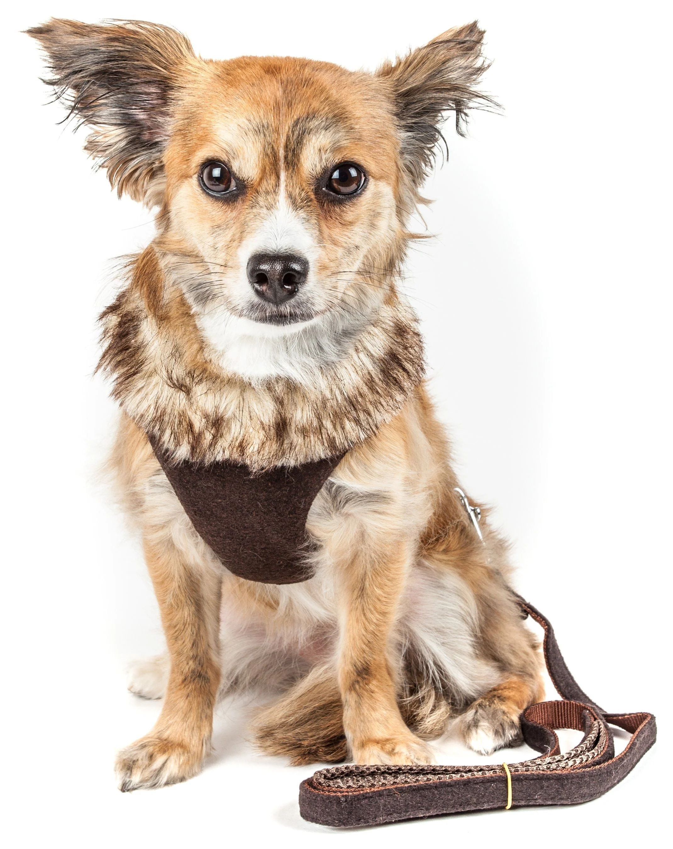 Pet Life ® Luxe 'Furracious' 2-In-1 Adjustable Dog Harness and Leash with Detachable Fur Collar - Image 3