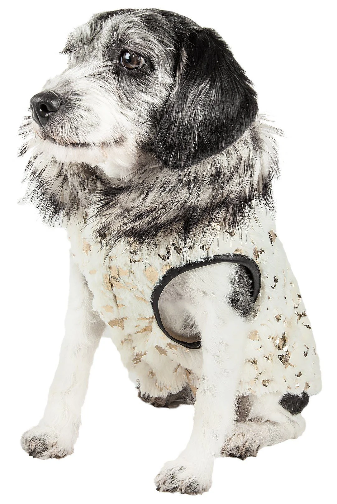 Pet Life ®  Luxe 'Gilded Rawffled' Gold-Plated Designer Fur Dog Coat - Image 2