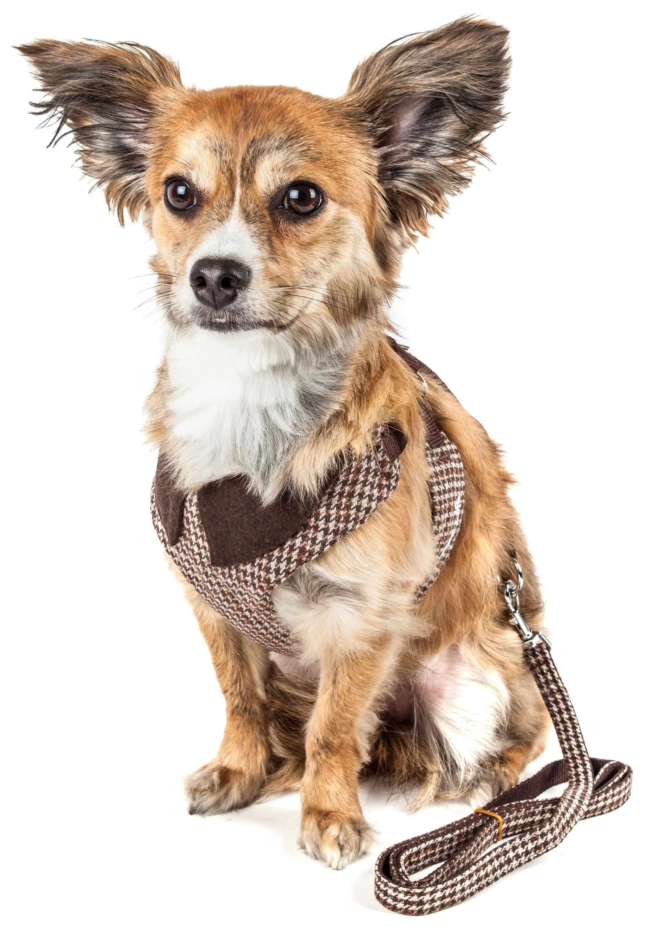 Pet Life ® Luxe 'Houndsome' 2-In-1 Adjustable Designer Dog Harness and Leash