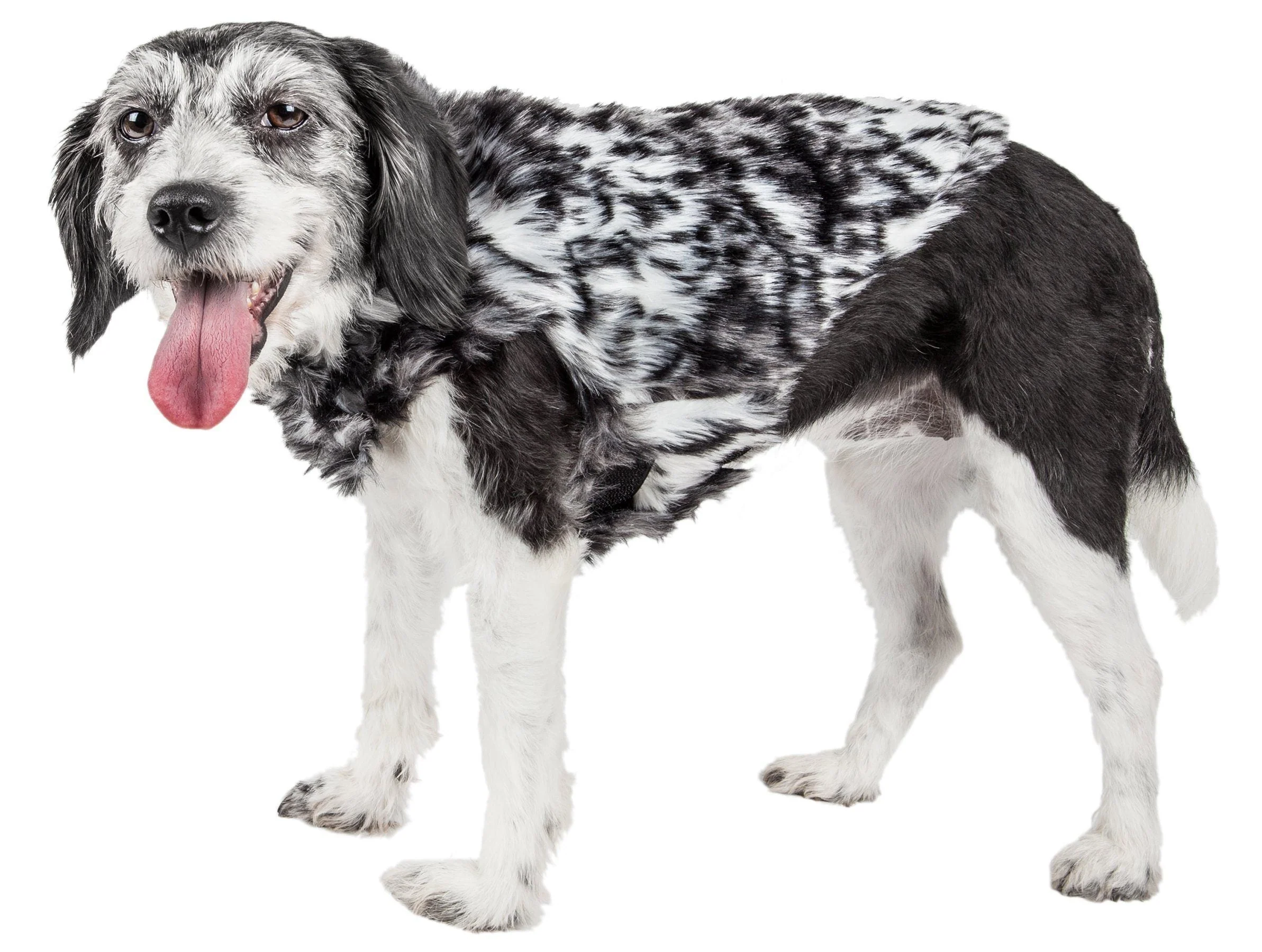 Pet Life ® Luxe 'Paw Dropping' Designer Gray-Scale Tiger Pattern Mink Fur Dog Coat