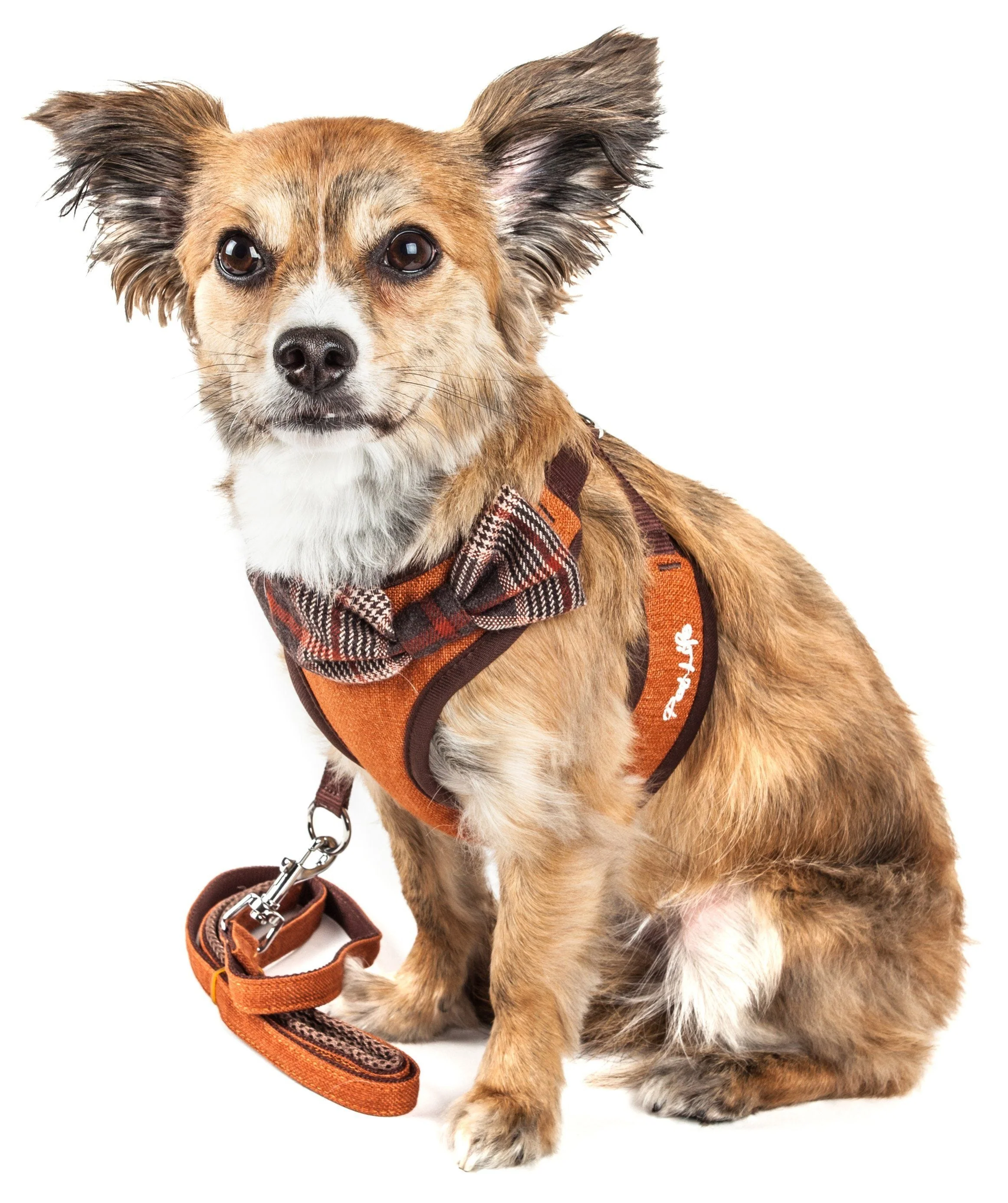 Pet Life ® Luxe 'Pawsh' 2-In-1 Adjustable Fashion Dog Harness and Leash - Image 2