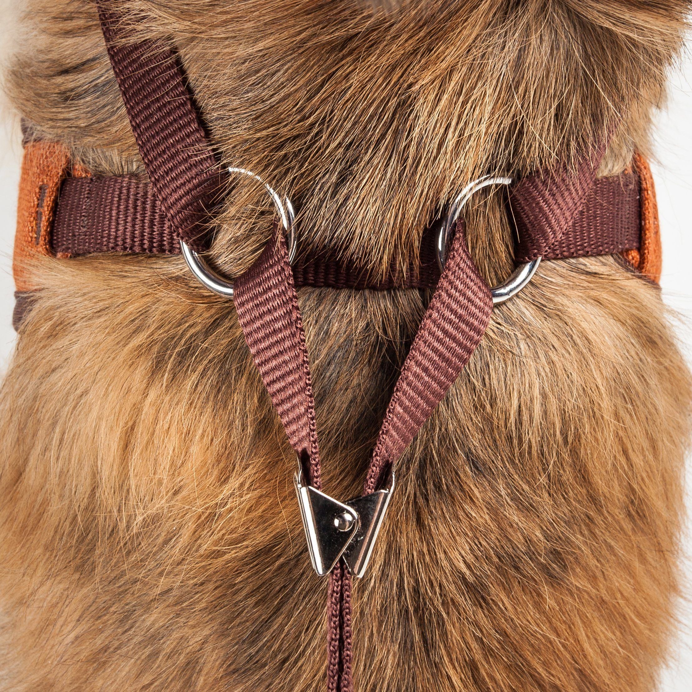 Pet Life ® Luxe 'Pawsh' 2-In-1 Adjustable Fashion Dog Harness and Leash - Image 4
