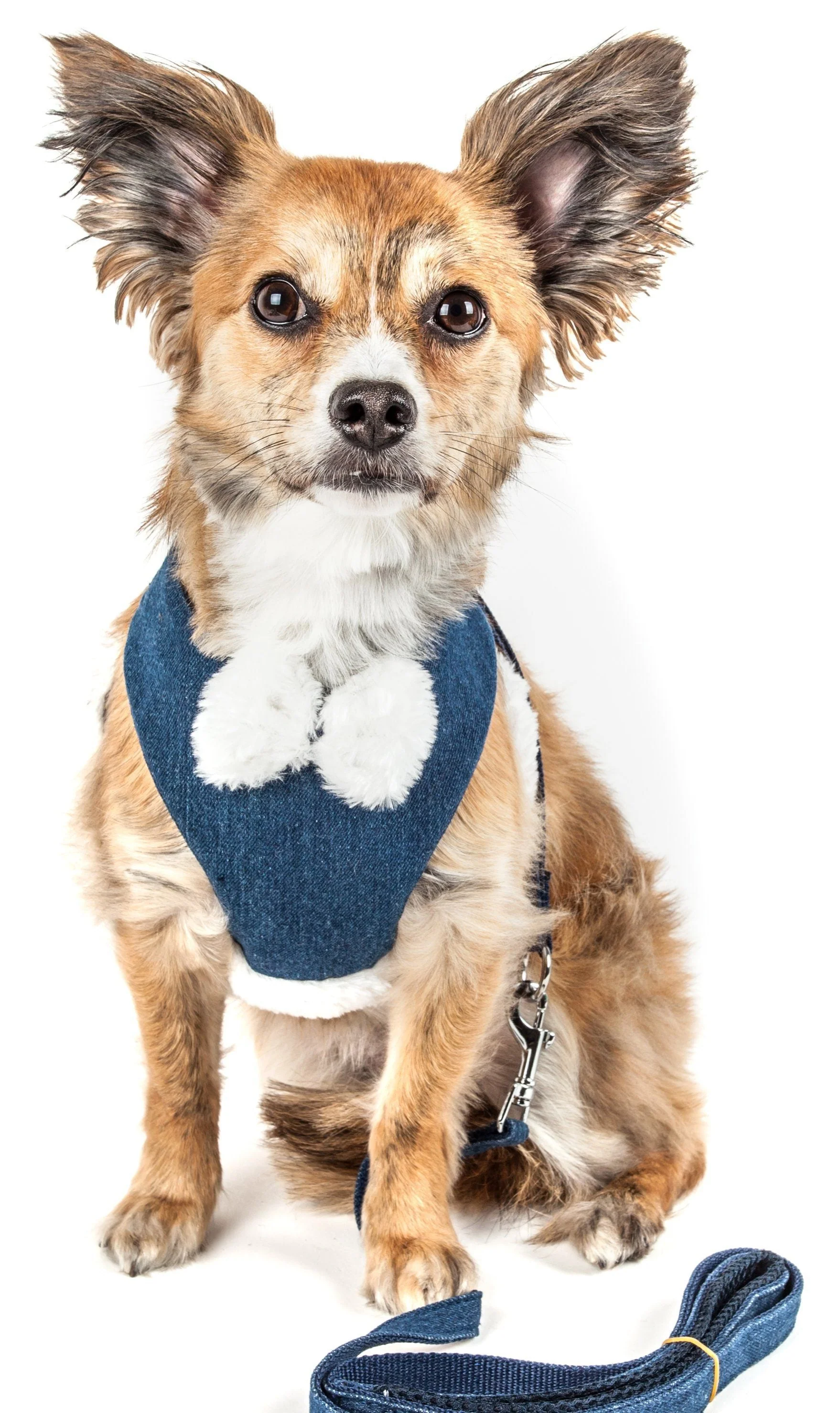 Pet Life ® Luxe 'Pom Draper' 2-In-1 Adjustable Fashion Dog Harness and Leash - Image 2