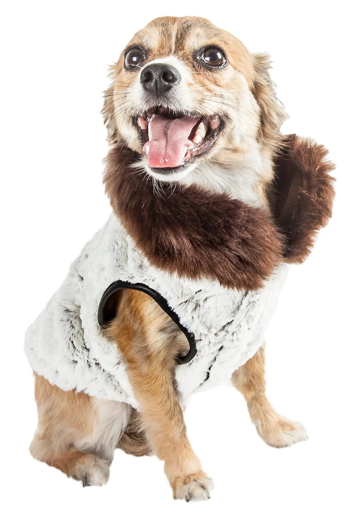 Pet Life ® Luxe 'Purrlage' Pelage Designer Fashion Fur Dog Coat - Image 2