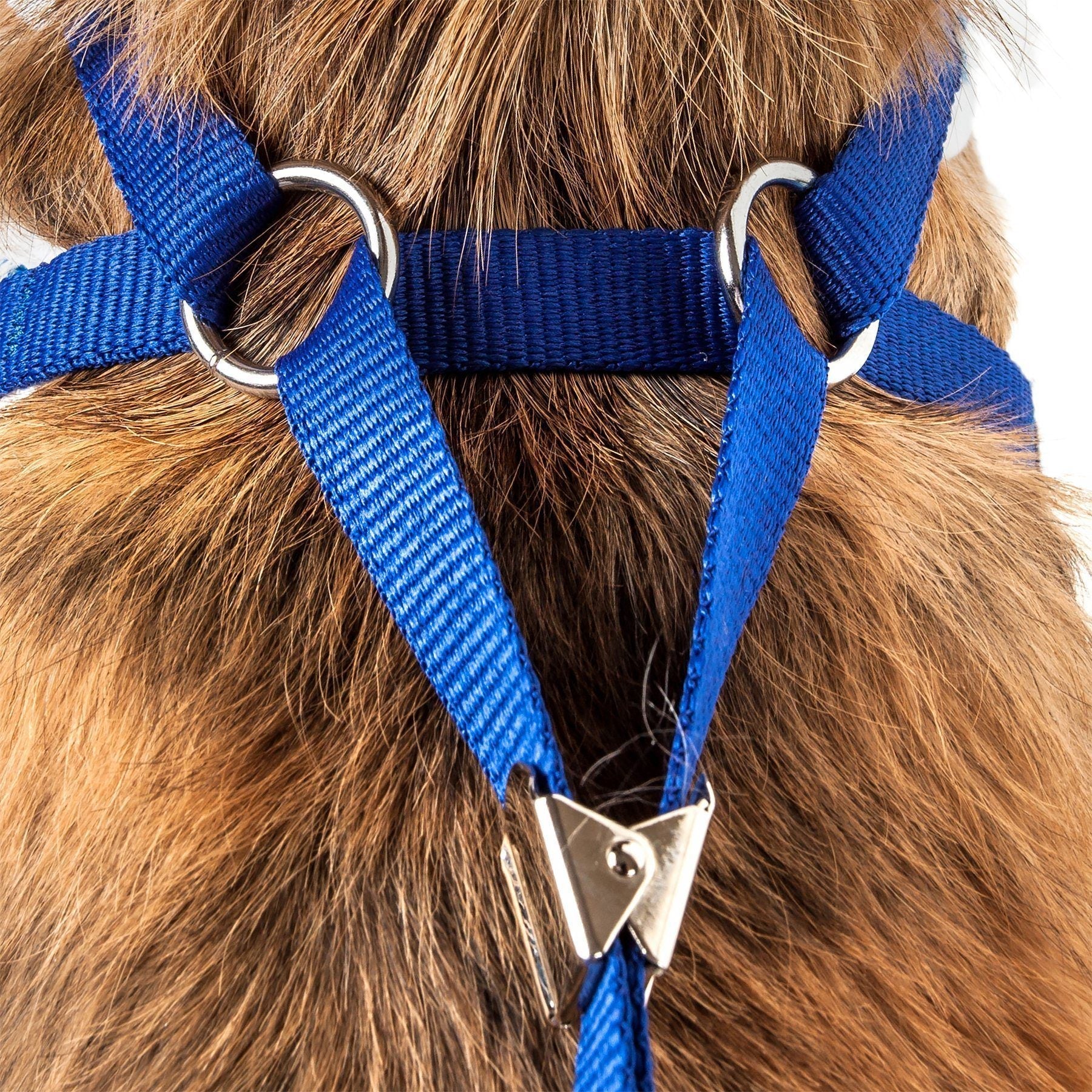 Pet Life ® Luxe 'Spawling' 2-In-1 Adjustable Fashion Dog Harness and Leash - Image 15