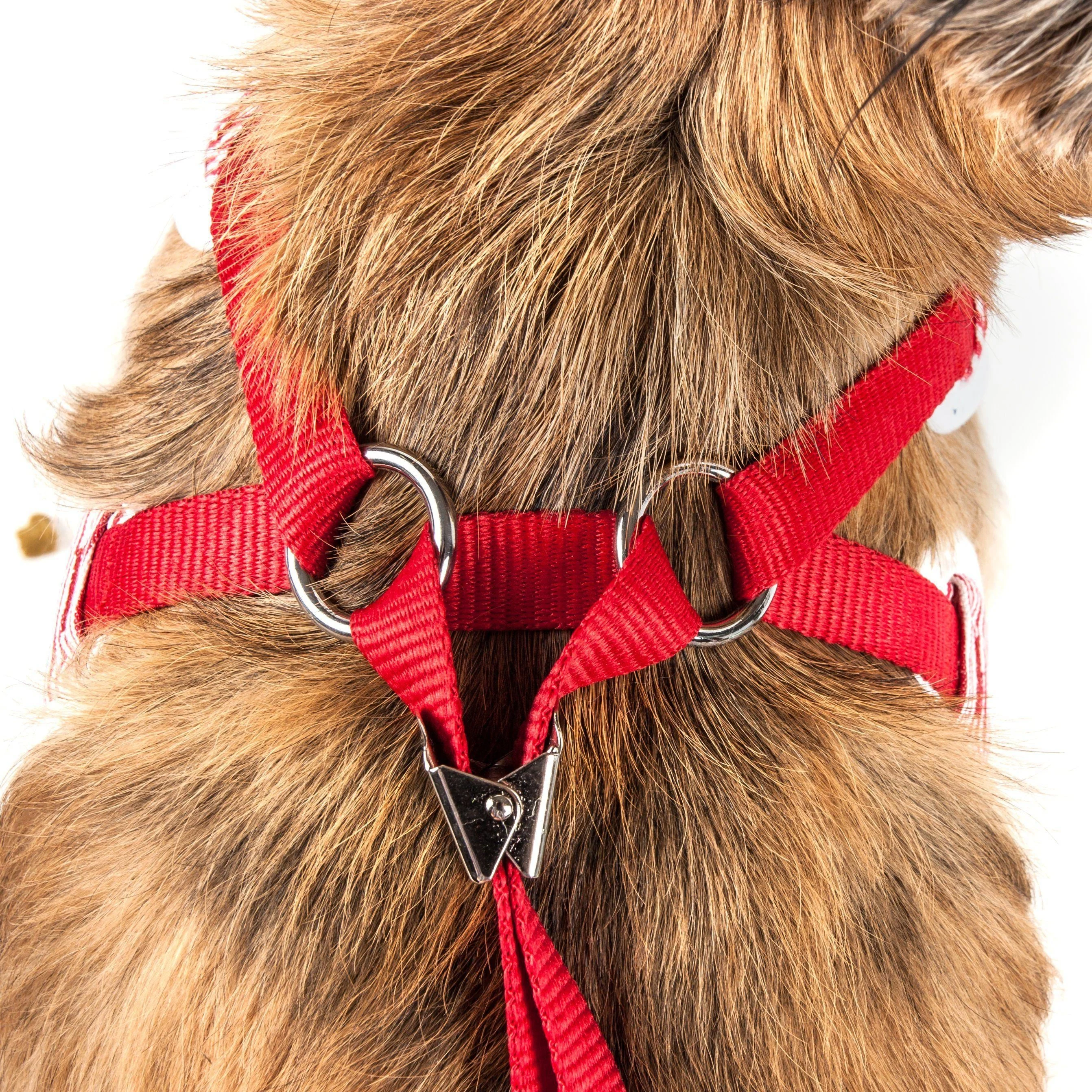 Pet Life ® Luxe 'Spawling' 2-In-1 Adjustable Fashion Dog Harness and Leash - Image 16