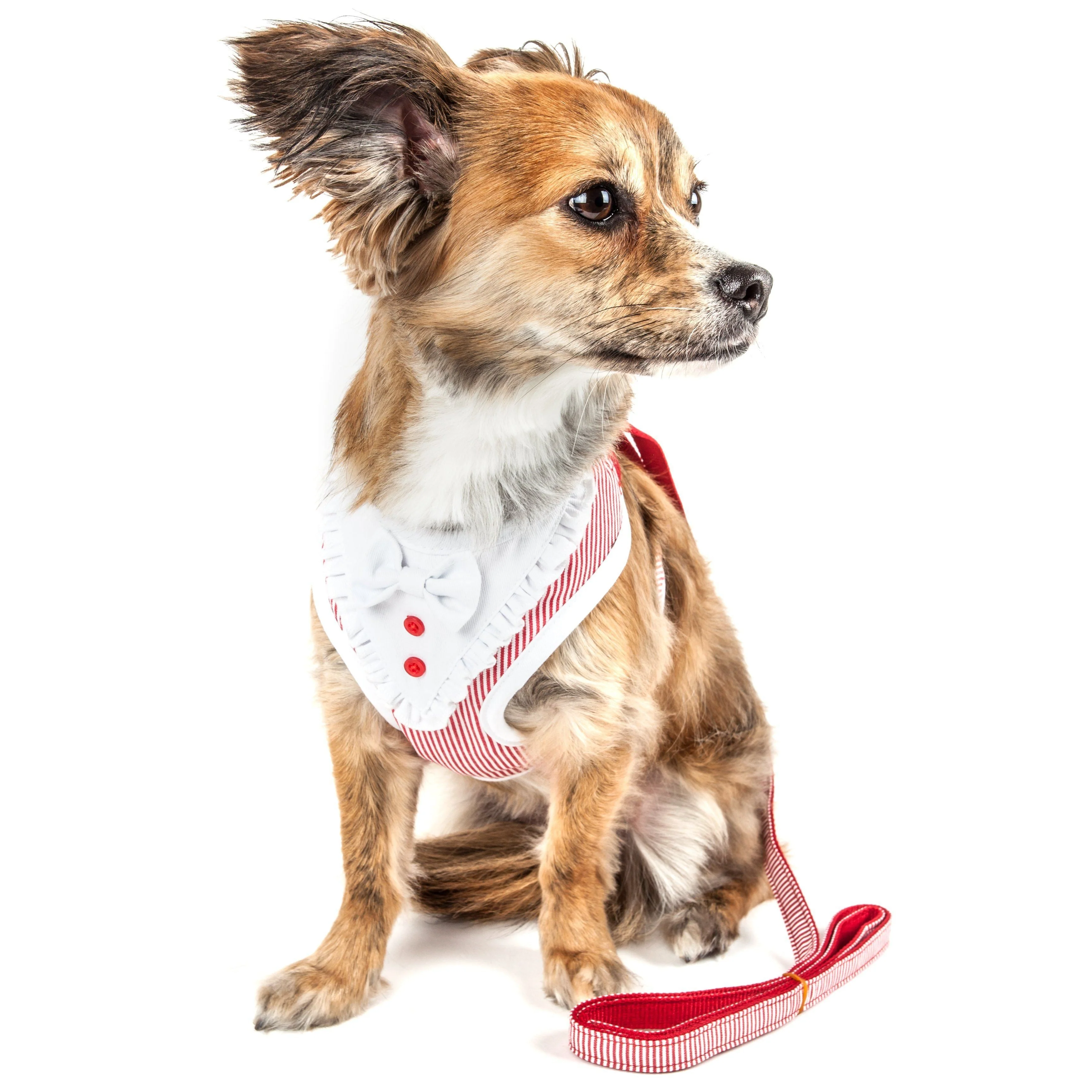 Pet Life ® Luxe 'Spawling' 2-In-1 Adjustable Fashion Dog Harness and Leash - Image 2