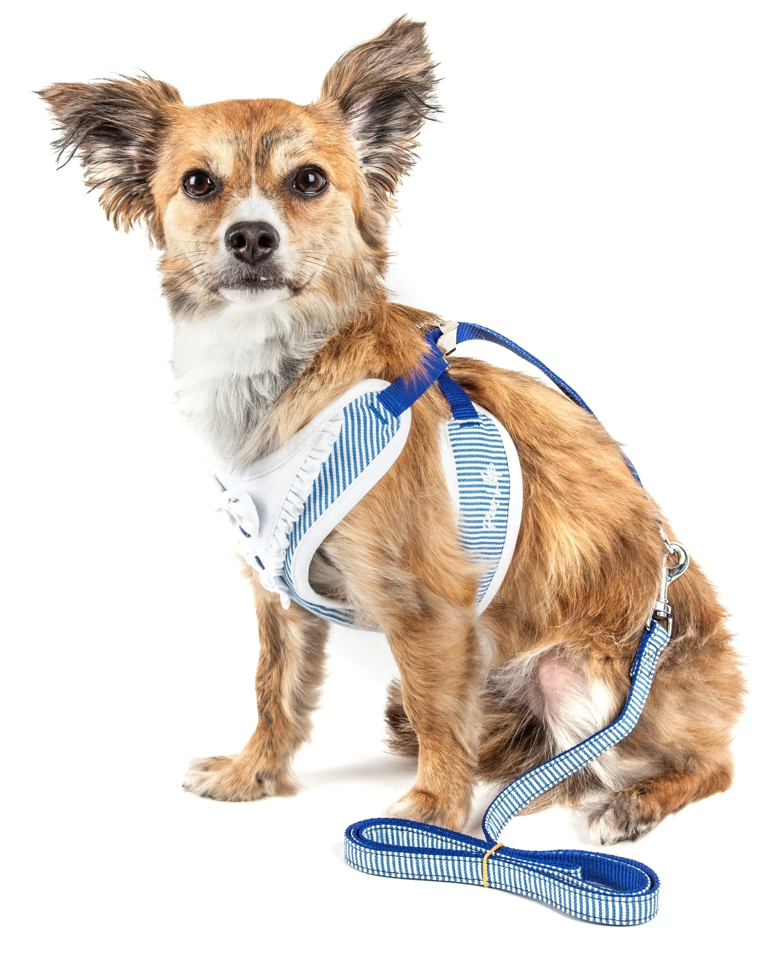 Pet Life ® Luxe 'Spawling' 2-In-1 Adjustable Fashion Dog Harness and Leash - Image 3