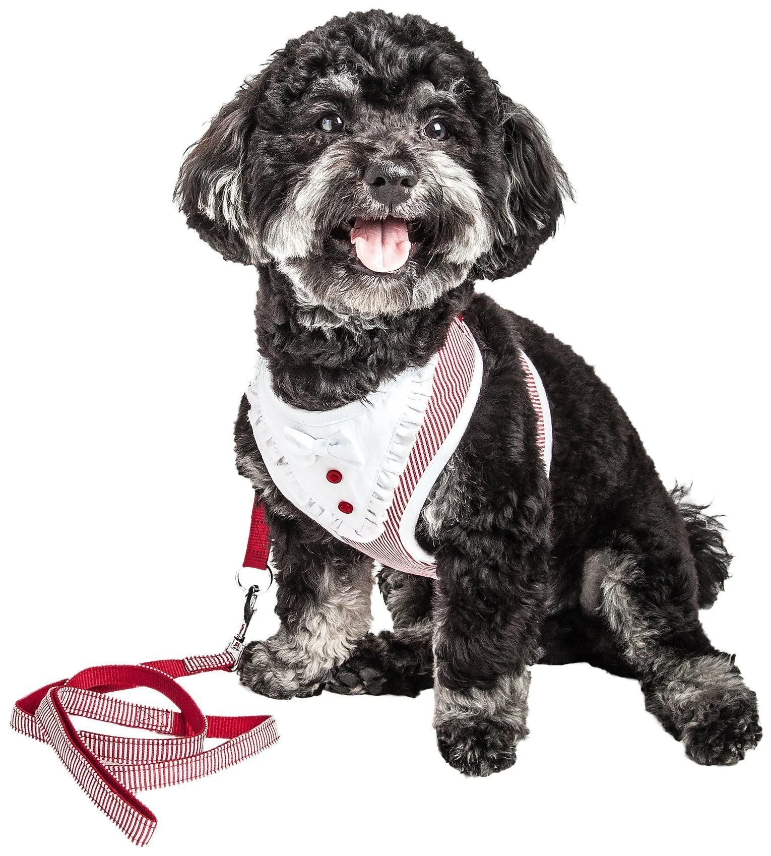 Pet Life ® Luxe 'Spawling' 2-In-1 Adjustable Fashion Dog Harness and Leash - Image 4