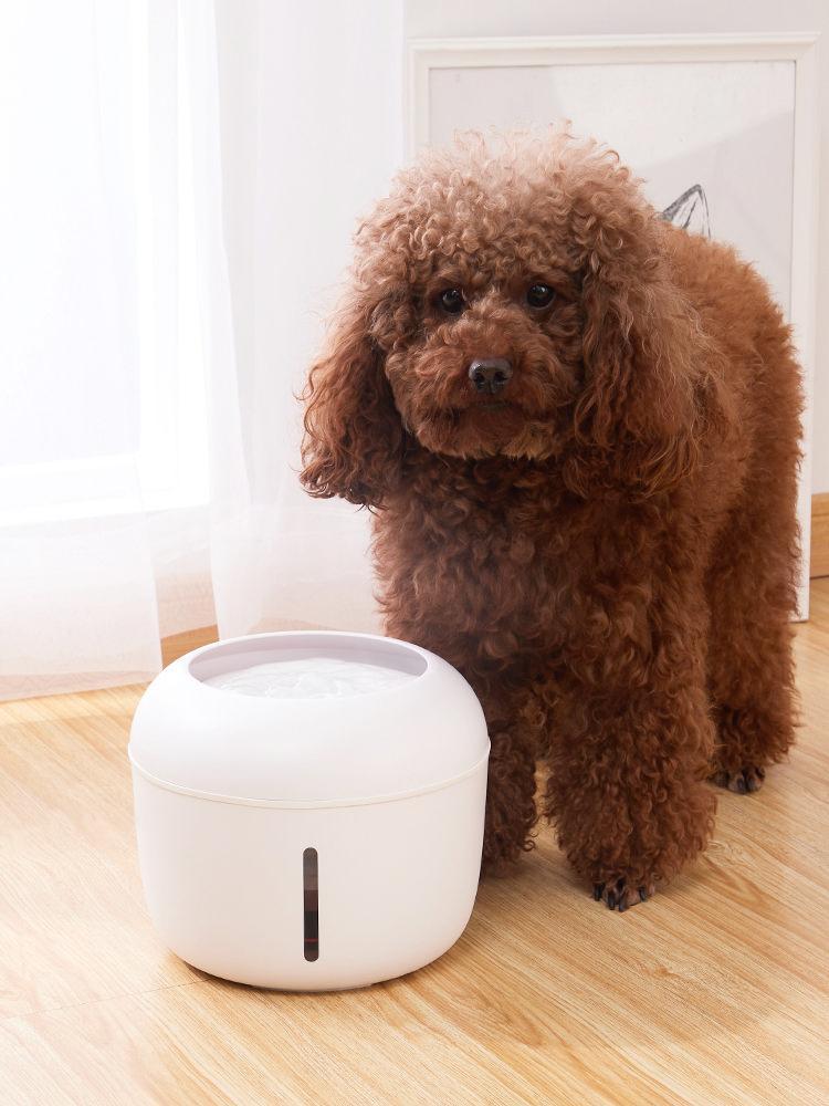 Pet Life ® 'Moda-Pure' Ultra-Quite Filtered Dog and Cat Fountain Waterer - Image 8