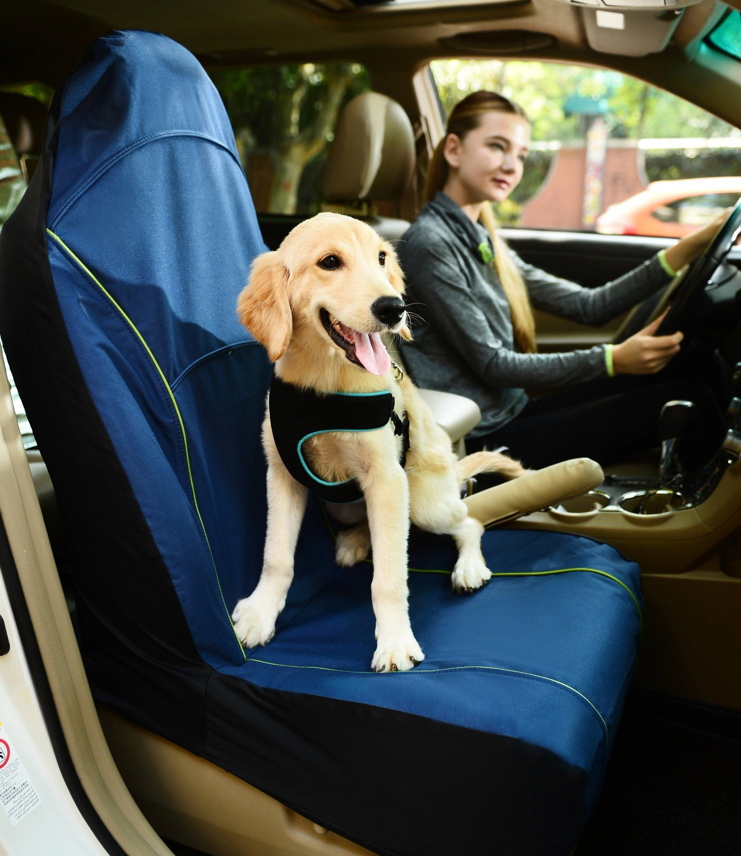 Pet Life ® 'Open Road' Single Seated Safety Child Pet Cat Dog Car Seat Carseat Cover Protector - Image 2