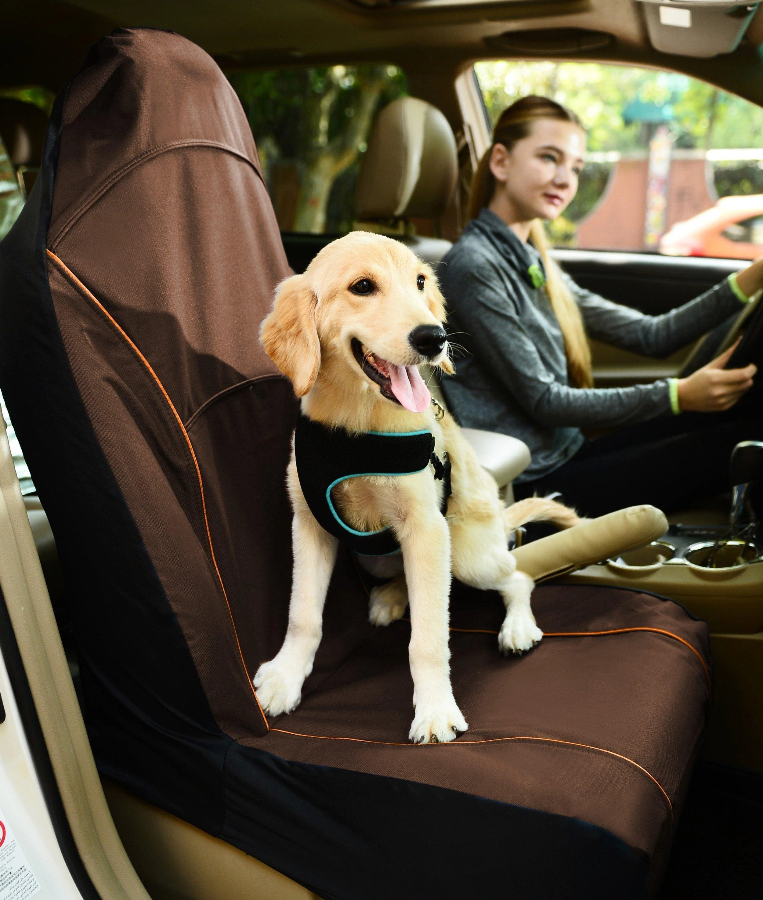 Pet Life ® 'Open Road' Single Seated Safety Child Pet Cat Dog Car Seat Carseat Cover Protector - Image 3