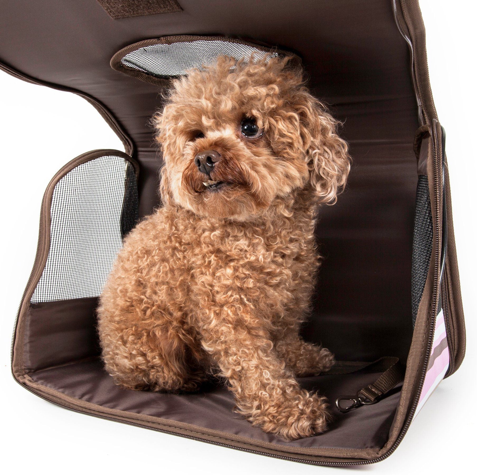 Pet Life ® Paw Patterned Airline Approved Zippered Folding Collapsible Travel Pet Dog Carrier - Image 4