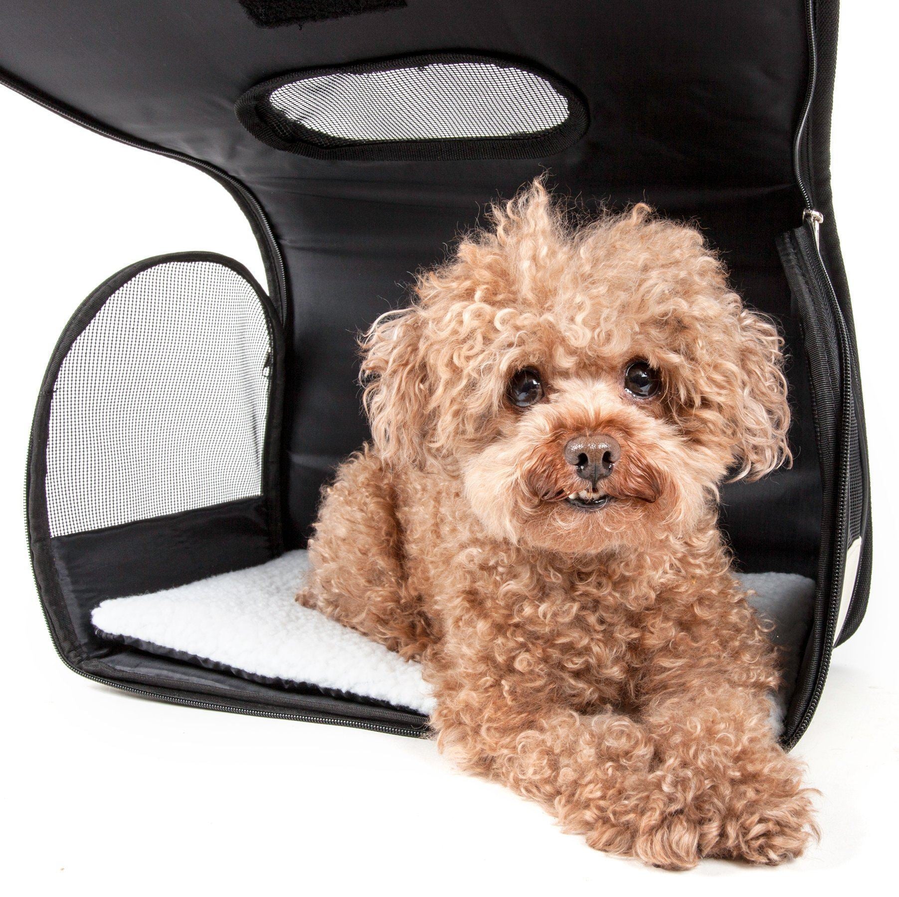 Pet Life ® Paw Patterned Airline Approved Zippered Folding Collapsible Travel Pet Dog Carrier - Image 5