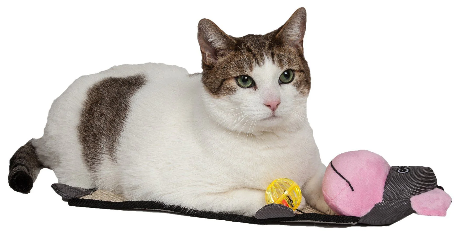 Pet Life ® 'Paw-Pleasant' Hanging Sisal & Jute Carpet Kitty Cat Scratcher with Toy - Image 5