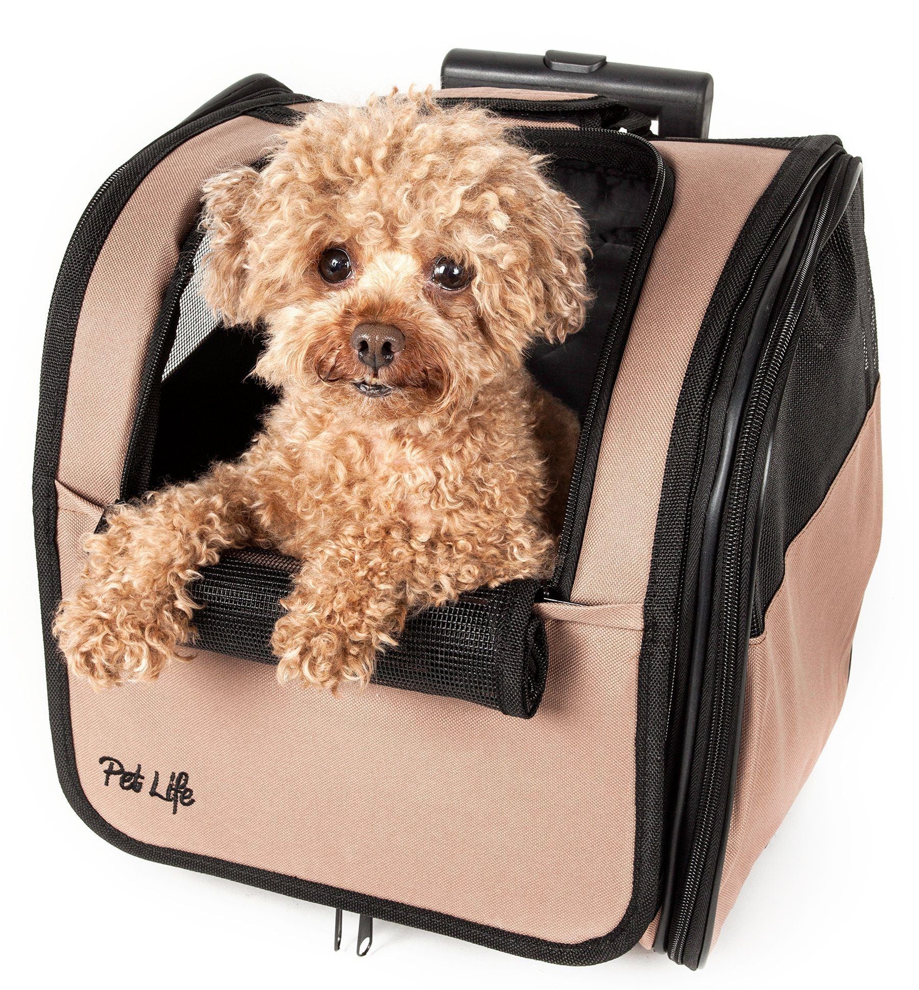 Pet Life ® 'Pawdon Me '  Wheeled Airline Approved Travel Collapsible Pet Dog Carrier - Image 5
