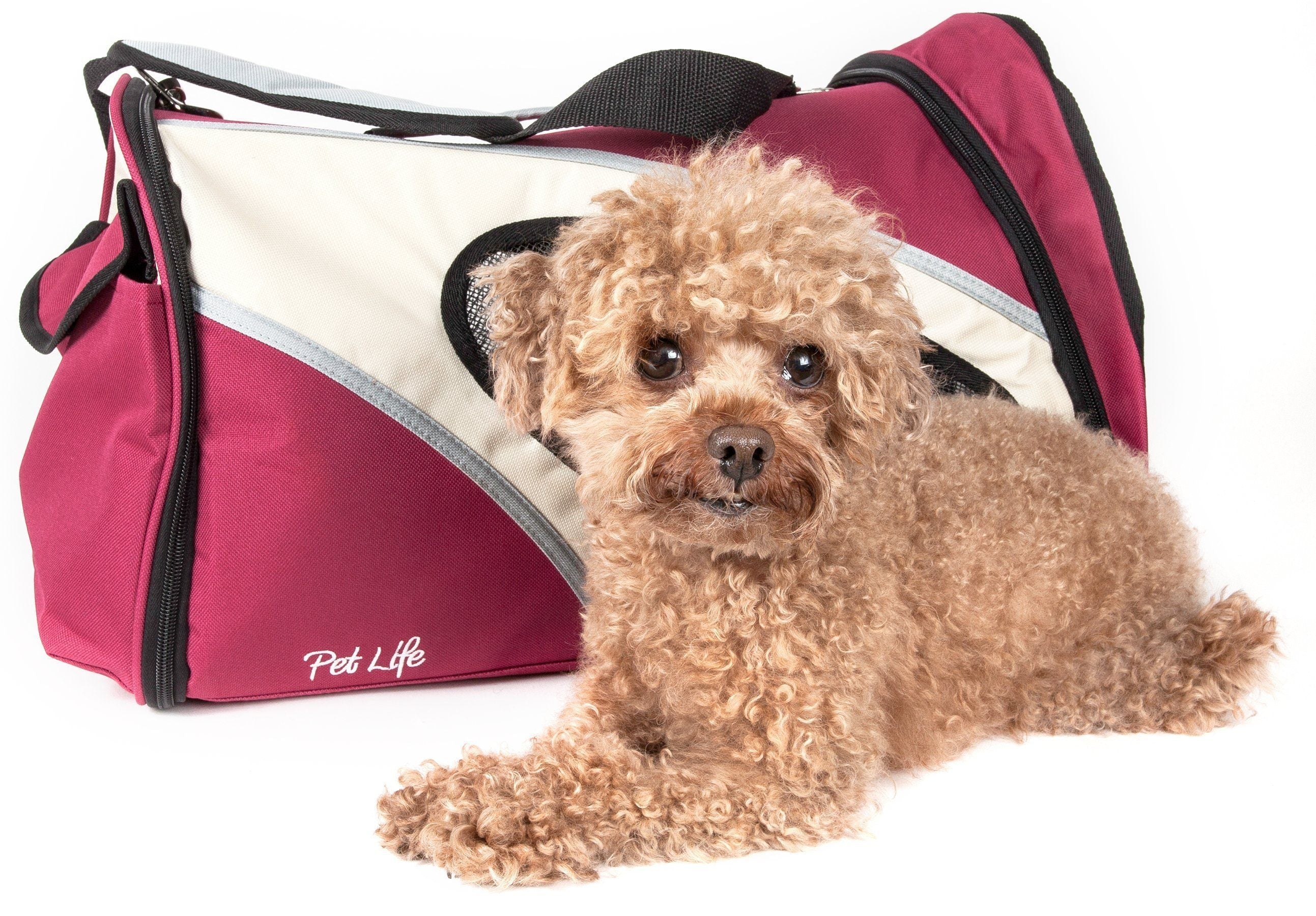 Pet Life ® 'Phenom-Air' Airline Approved Collapsible Fashion Designer Pet Dog Carrier - Image 2