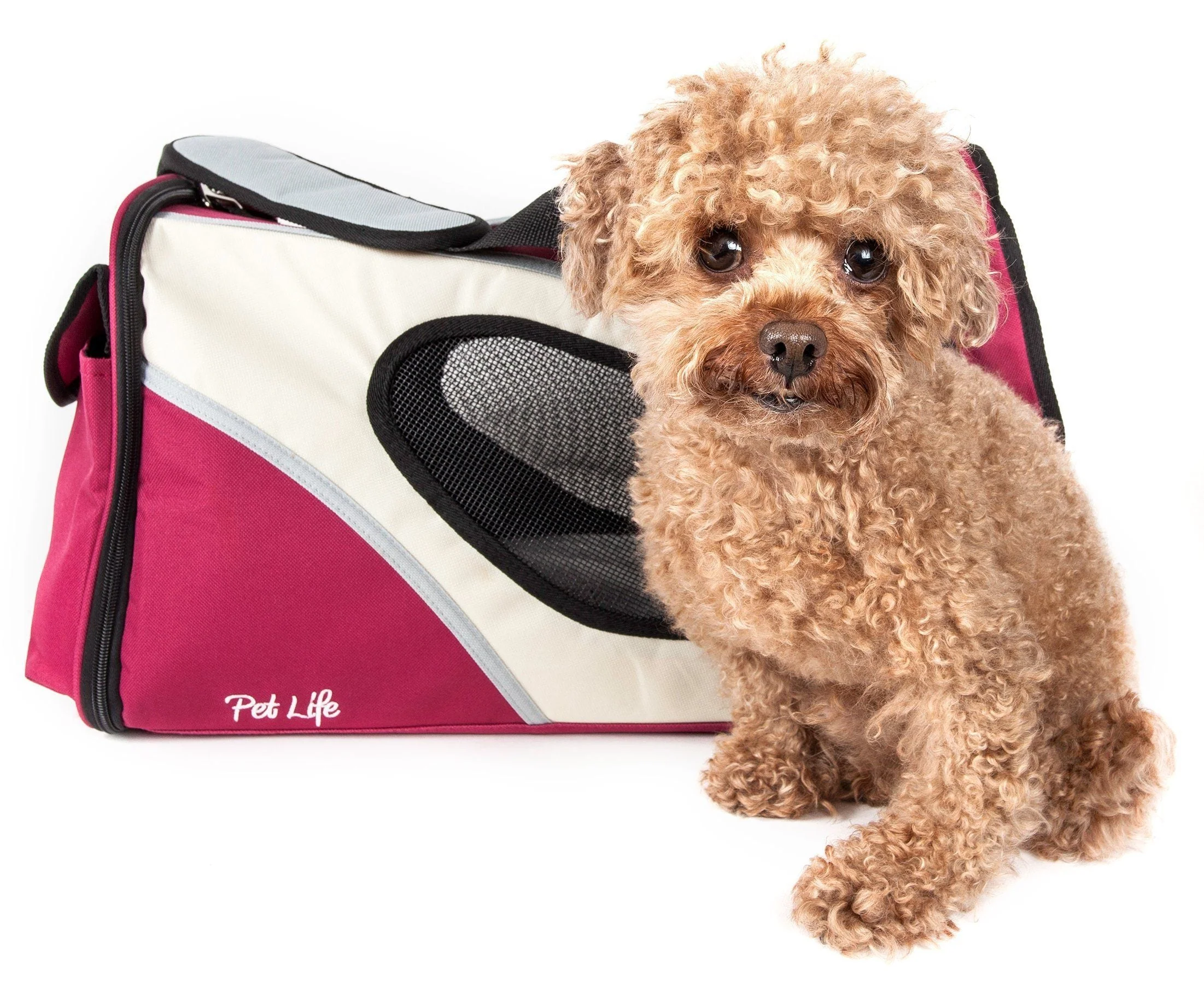 Pet Life ® 'Phenom-Air' Airline Approved Collapsible Fashion Designer Pet Dog Carrier - Image 4