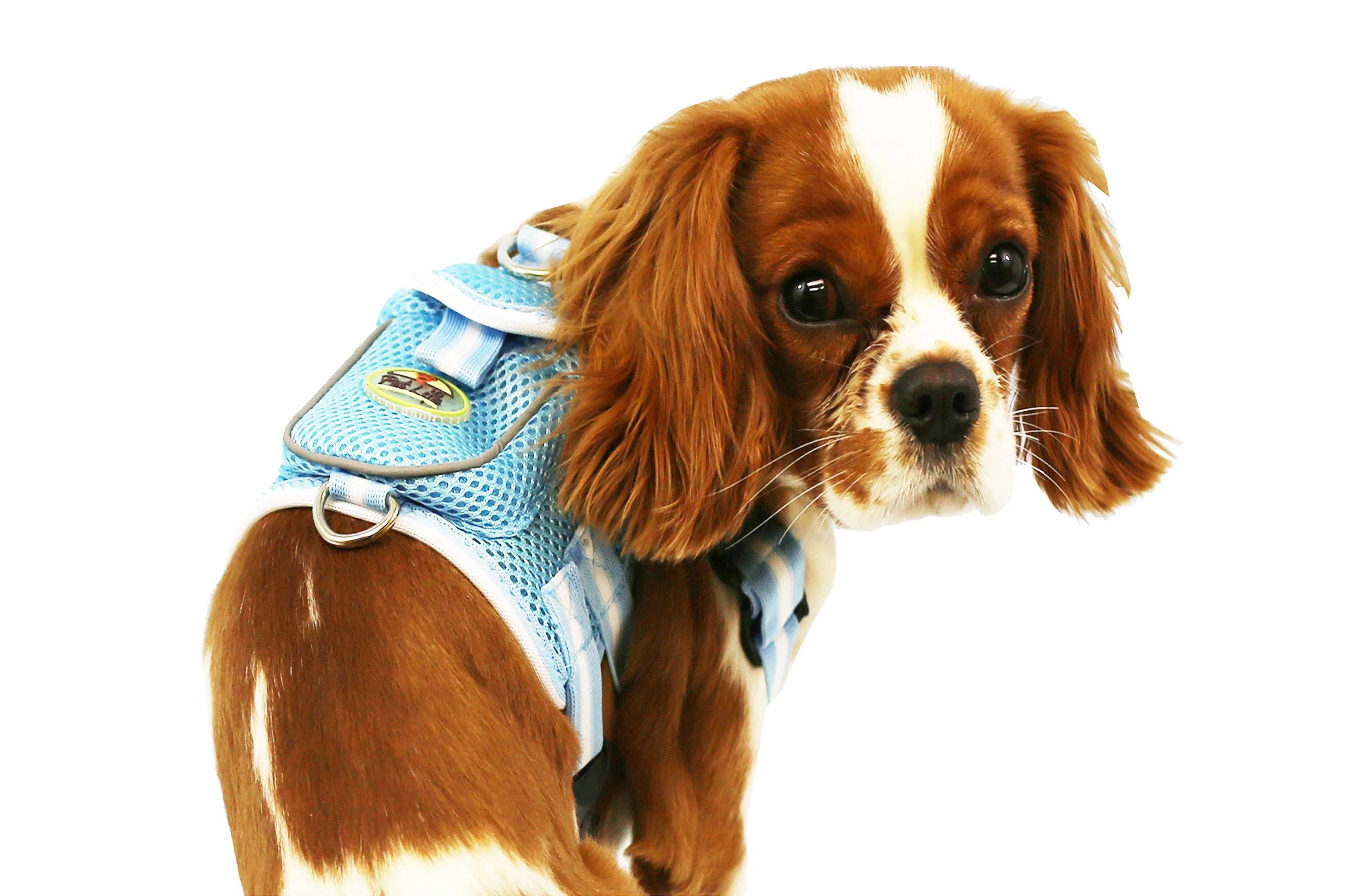 Pet Life ® 'Pocket Bark' Reflective Adjustable Fashion Pet Dog Harness w/ Hook-and-Loop Pouch and Dual Harness Rings - Image 2