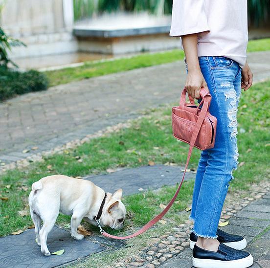 Pet Life ® 'Posh Walk' Purse Dog Leash, Accessory Holder and Waste Bag Dispenser - Image 5