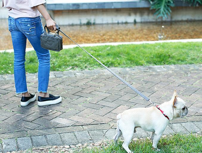 Pet Life ® 'Posh Walk' Purse Dog Leash, Accessory Holder and Waste Bag Dispenser - Image 8