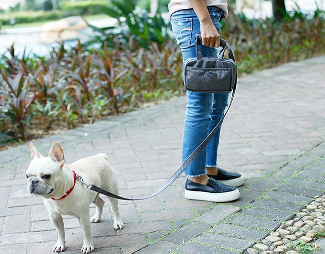 Pet Life ® 'Posh Walk' Purse Dog Leash, Accessory Holder and Waste Bag Dispenser - Image 9