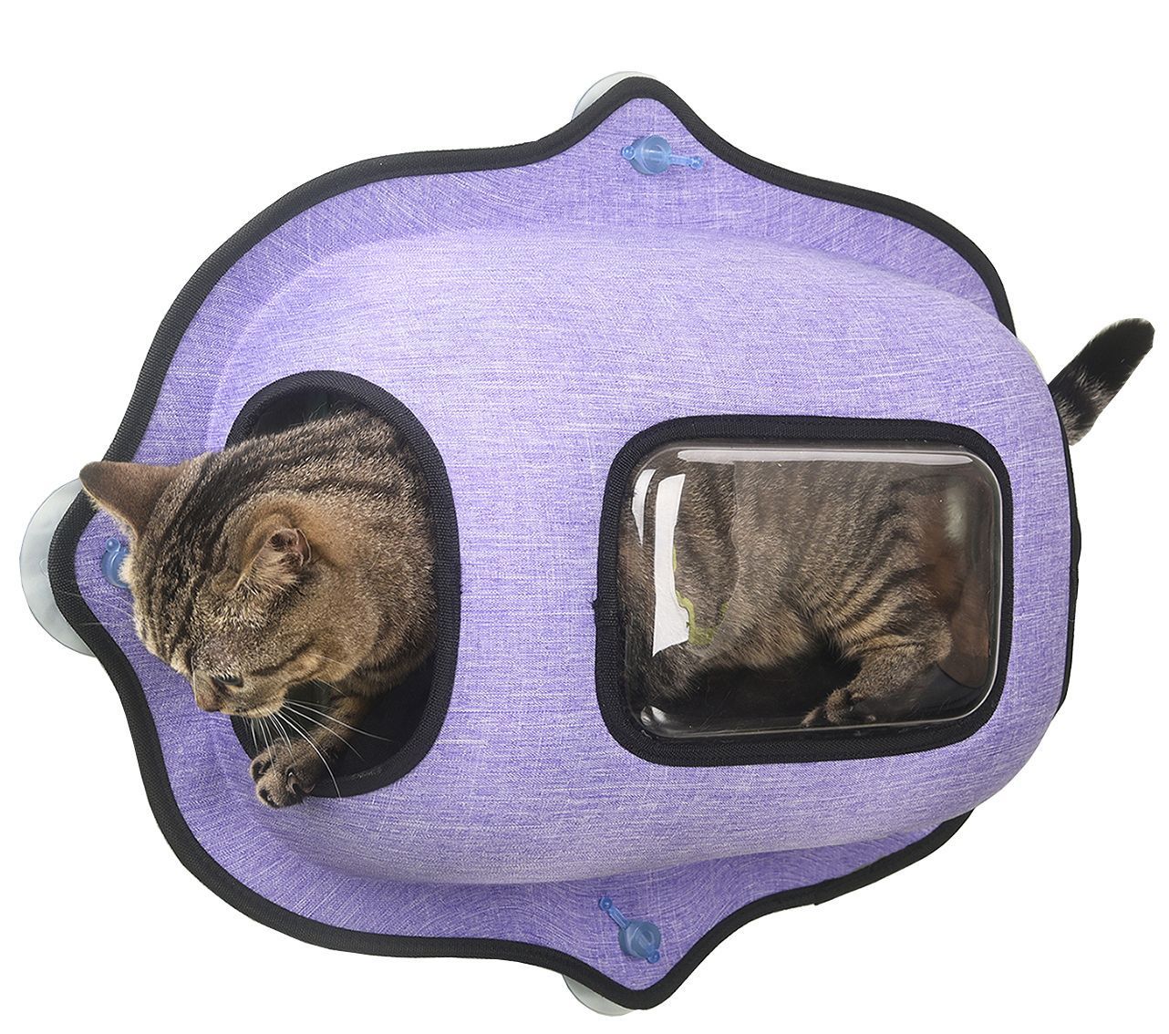 Pet Life ® 'Purr-view' See-through Suction Cup Kitty Cat Lounger and Bed - Image 2