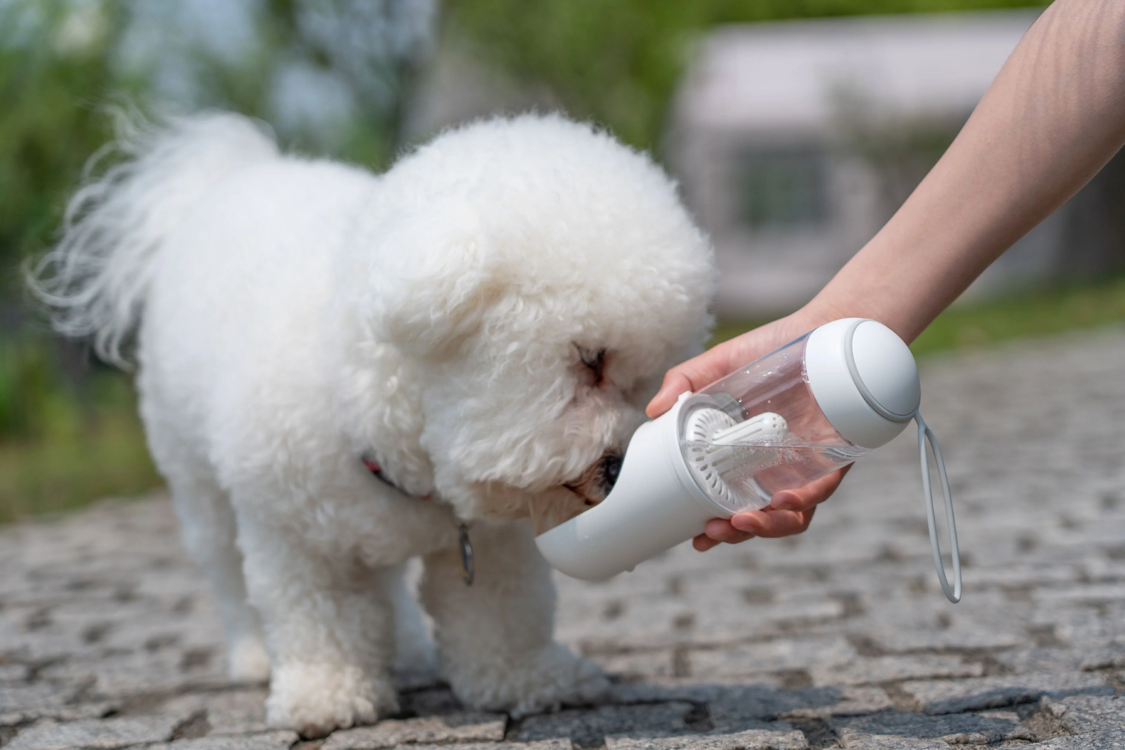 Pet Life ® 'PYURE' Handheld Travel Filtered Water Feeder - Image 3