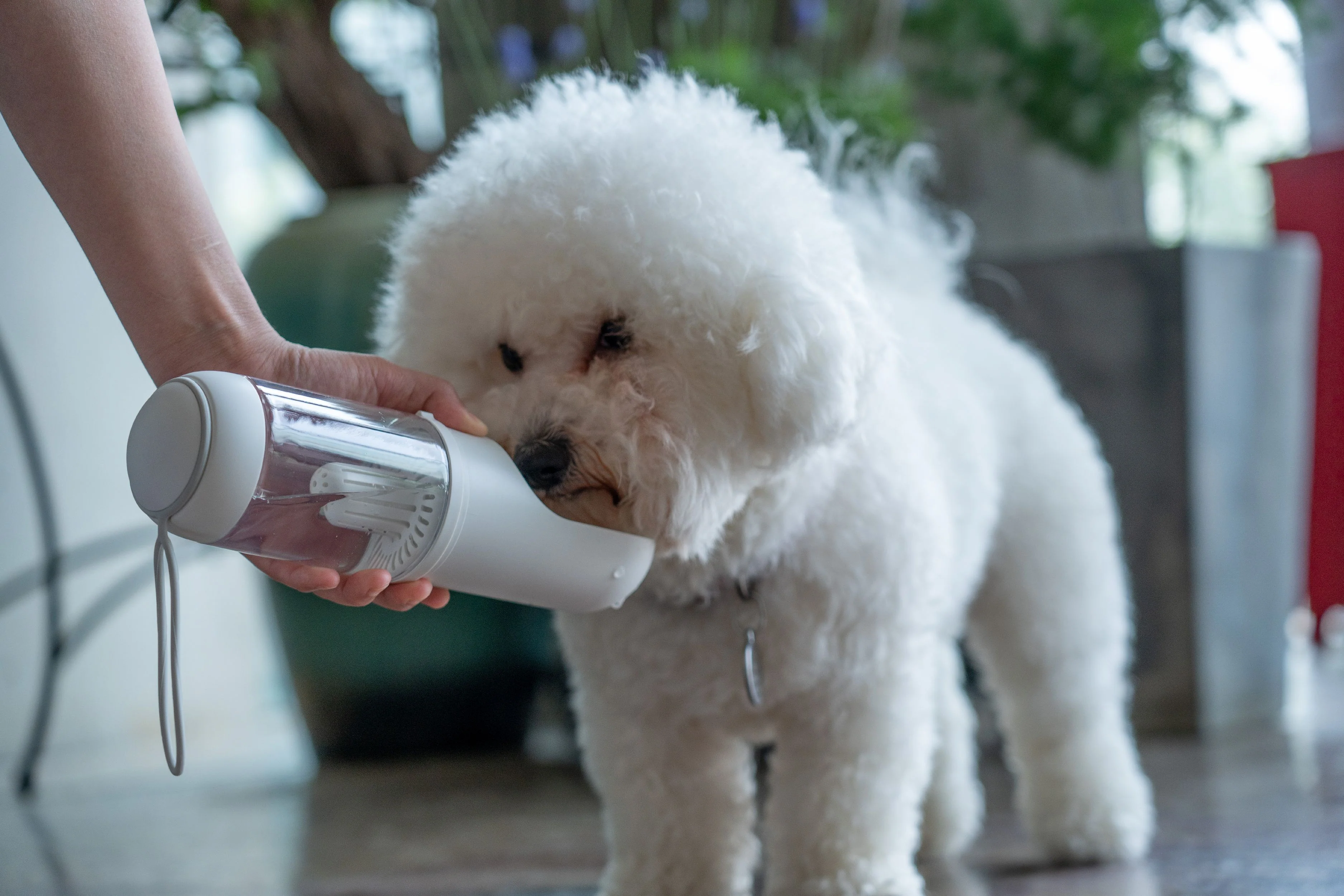 Pet Life ® 'PYURE' Handheld Travel Filtered Water Feeder - Image 8