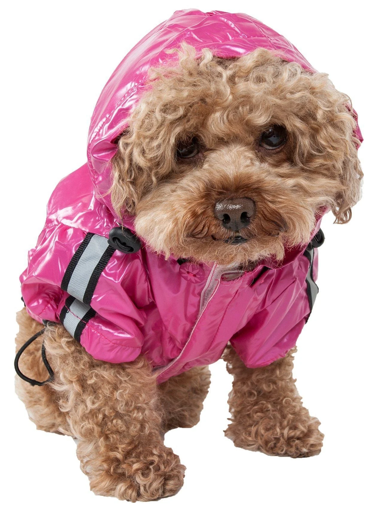Pet Life ® 'Reflecta-Sport' Multi-Adjustable Reflective Weather-Proof Dog Raincoat w/ Removable Hood - Image 2