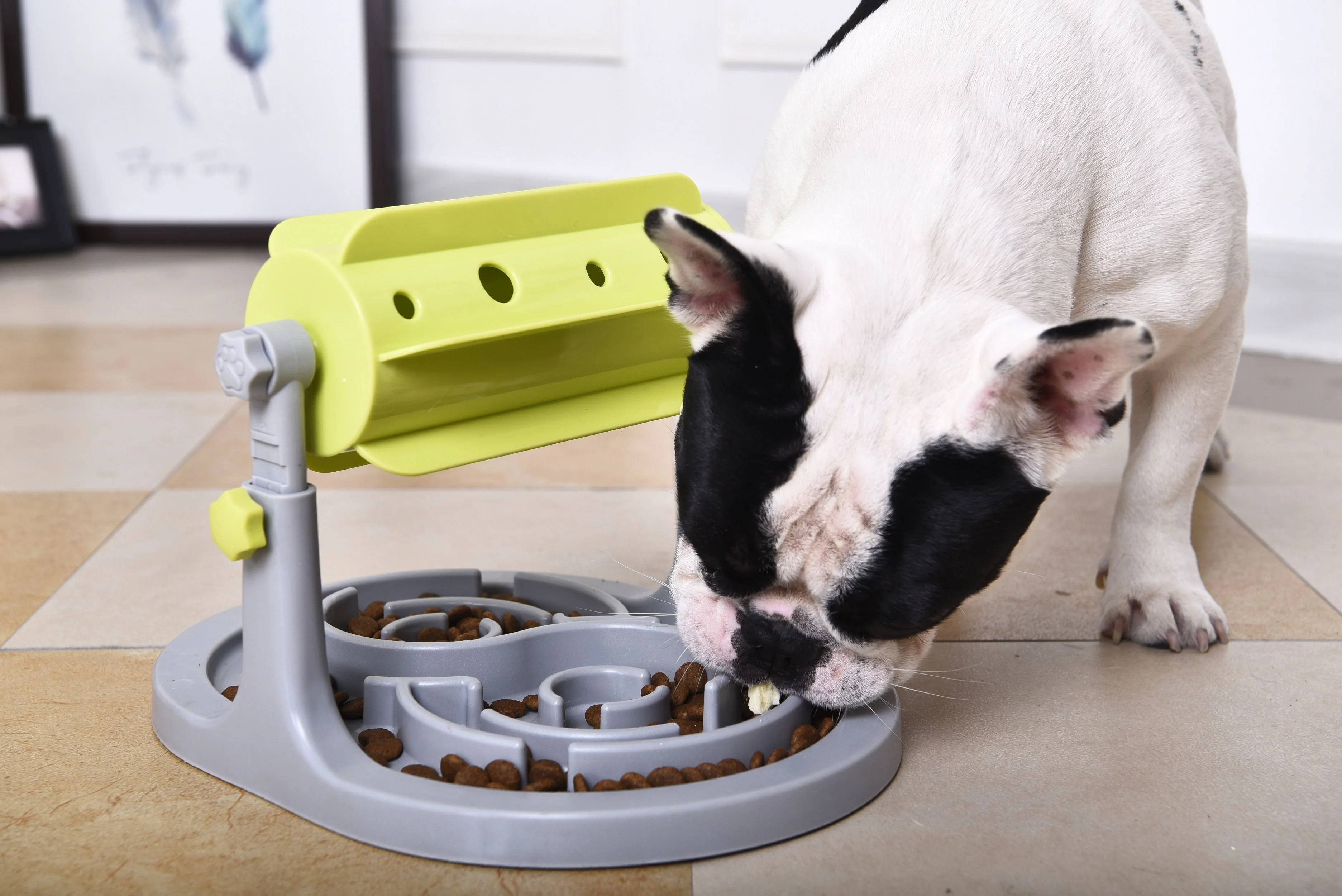 Pet Life ® 'Roto Paw' IQ Training Interactive Rotating Slow Dog Feeder - Image 3