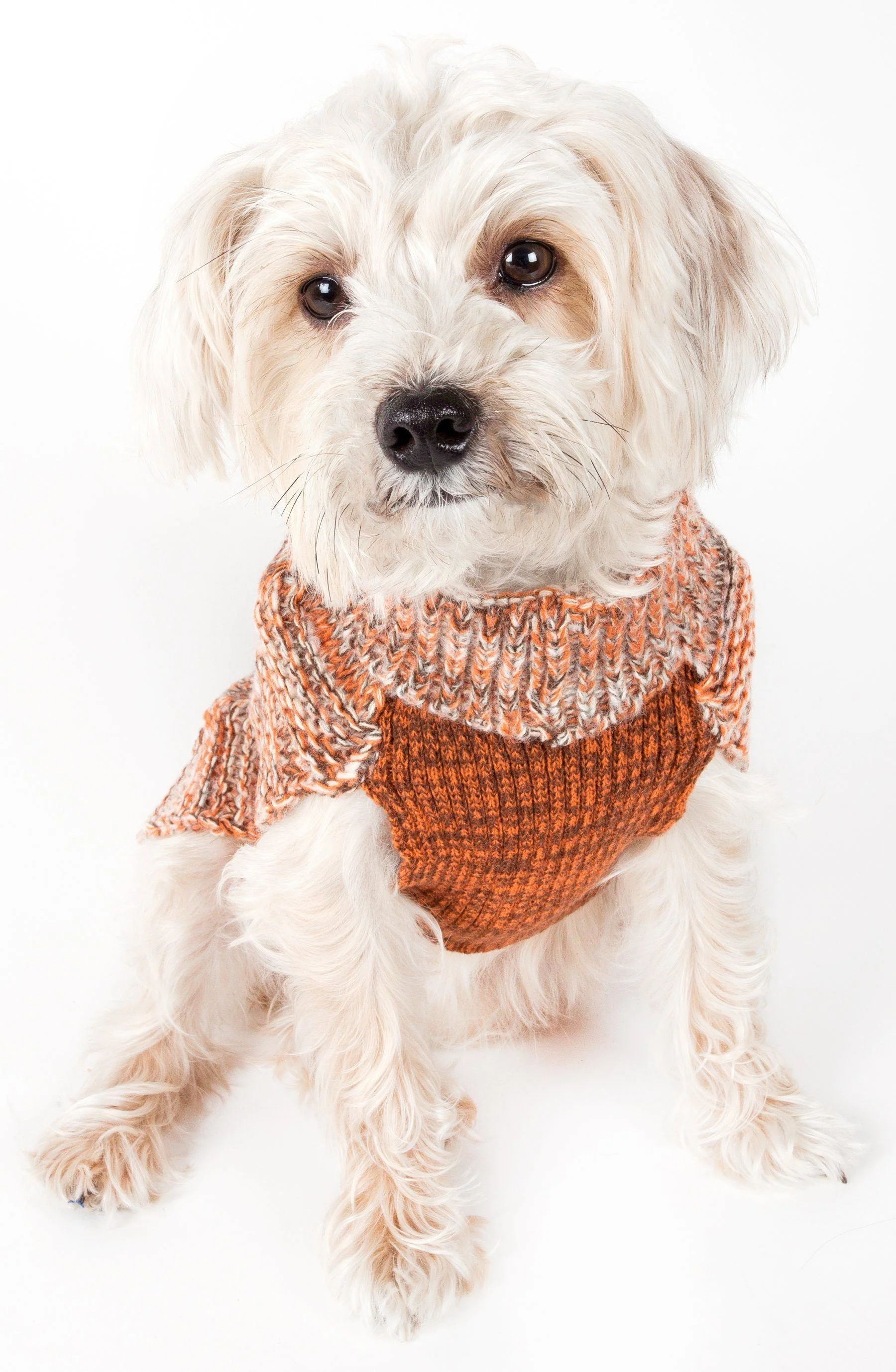Pet Life ® 'Royal Bark' Heavy Cable Knitted Designer Fashion Dog Sweater - Image 2