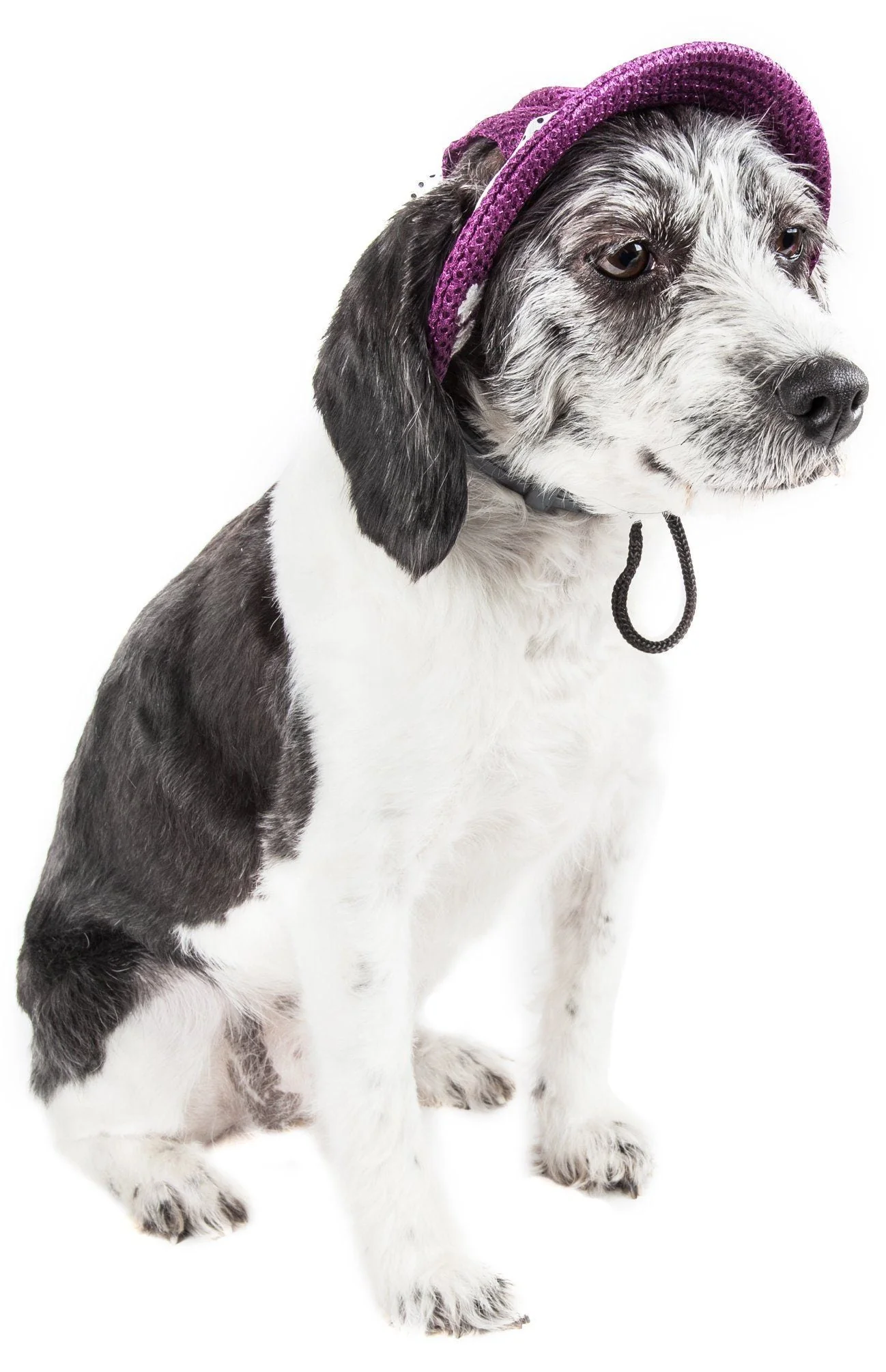 Pet Life ®  'Sea Spot Sun' UV Protectant Adjustable Fashion Mesh Brimmed Dog Hat Cap - Image 11