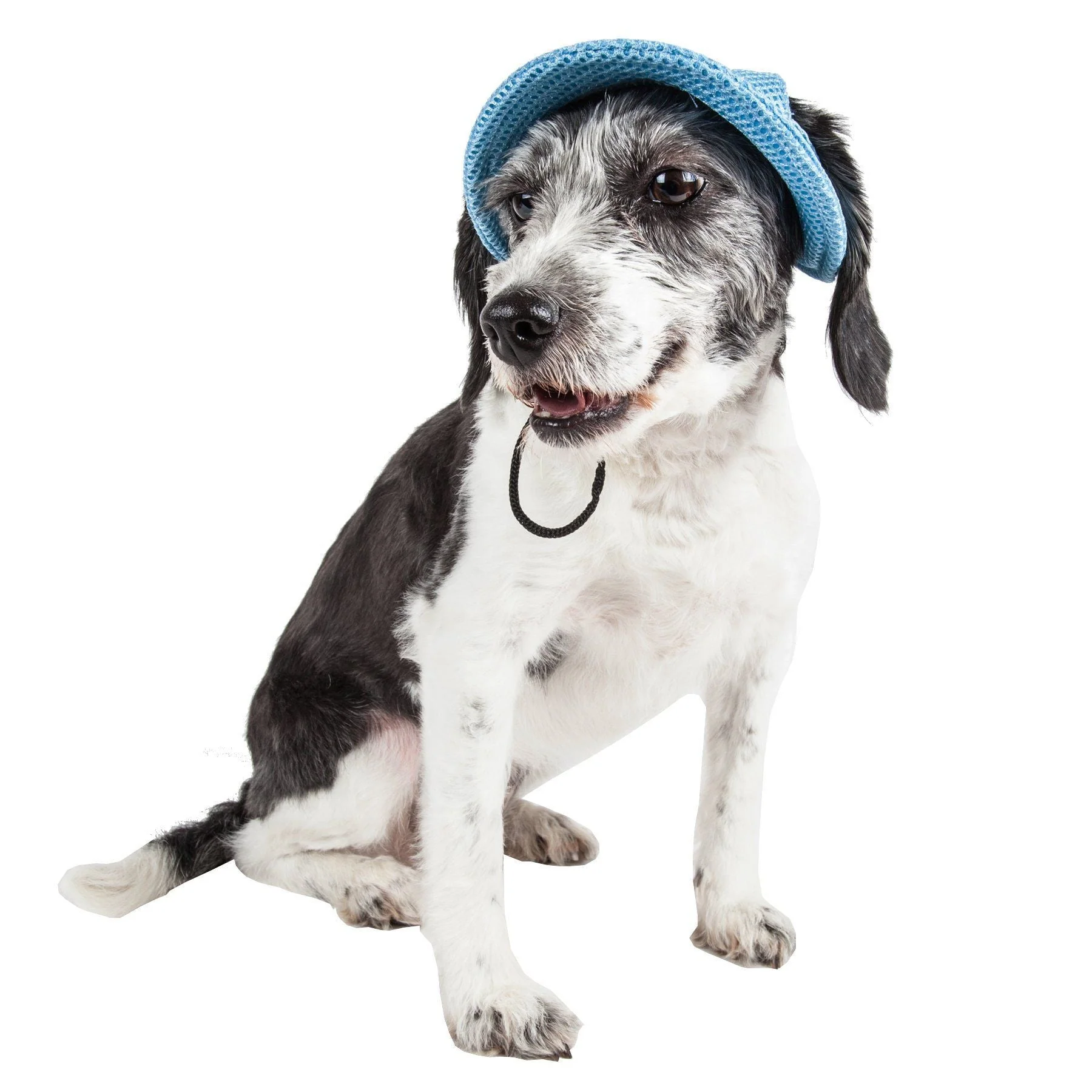 Pet Life ®  'Sea Spot Sun' UV Protectant Adjustable Fashion Mesh Brimmed Dog Hat Cap - Image 12