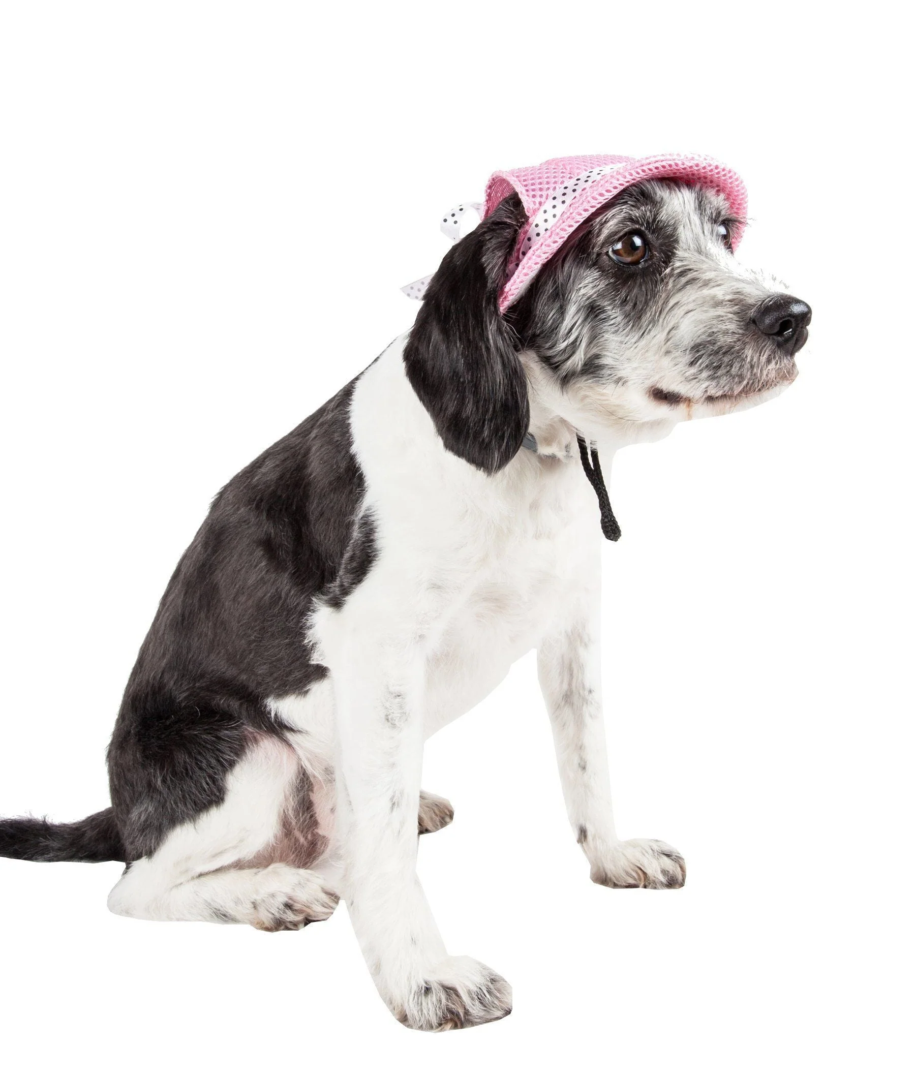 Pet Life ®  'Sea Spot Sun' UV Protectant Adjustable Fashion Mesh Brimmed Dog Hat Cap - Image 14